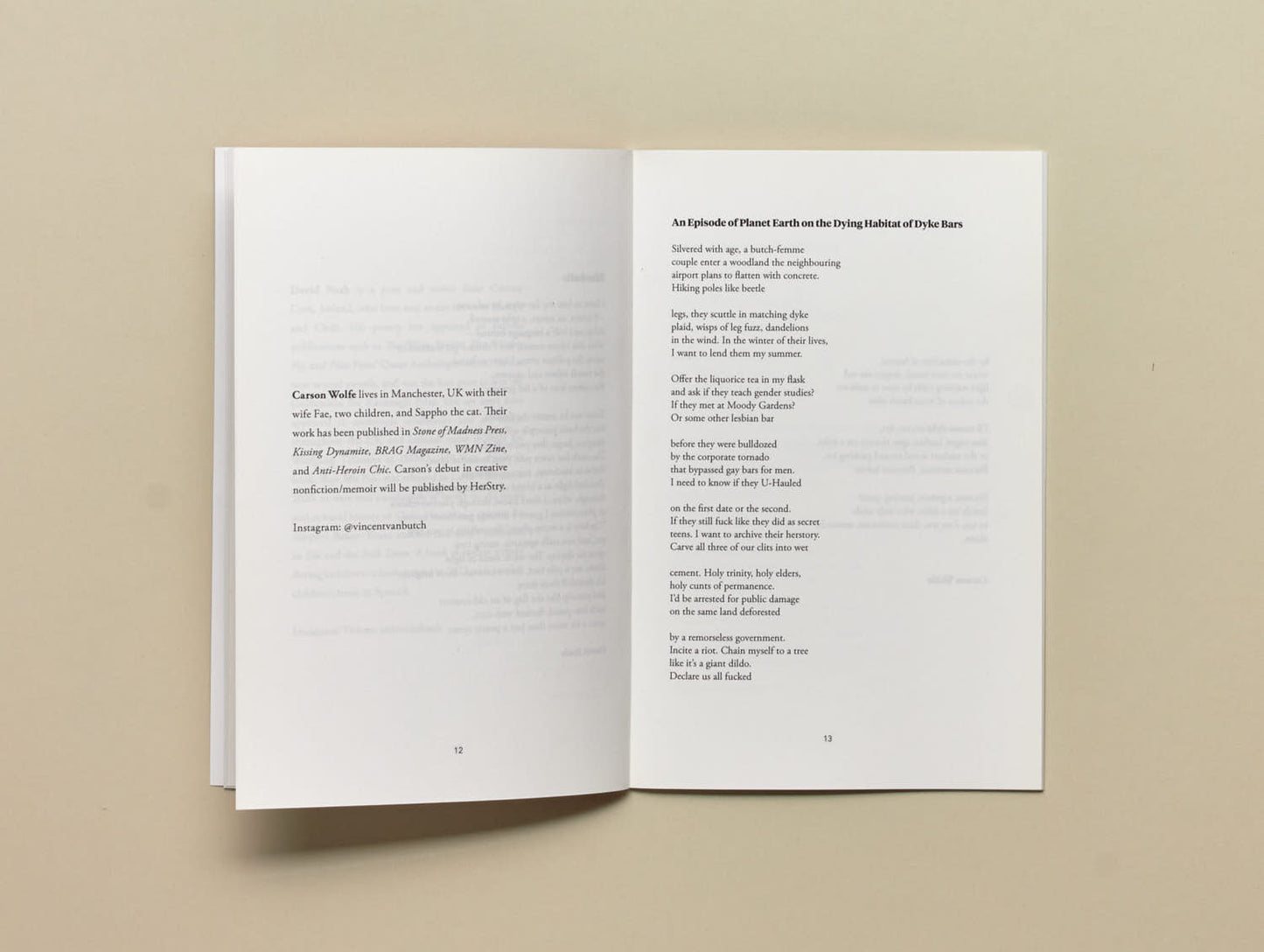 Fourteen Poems Issue 5