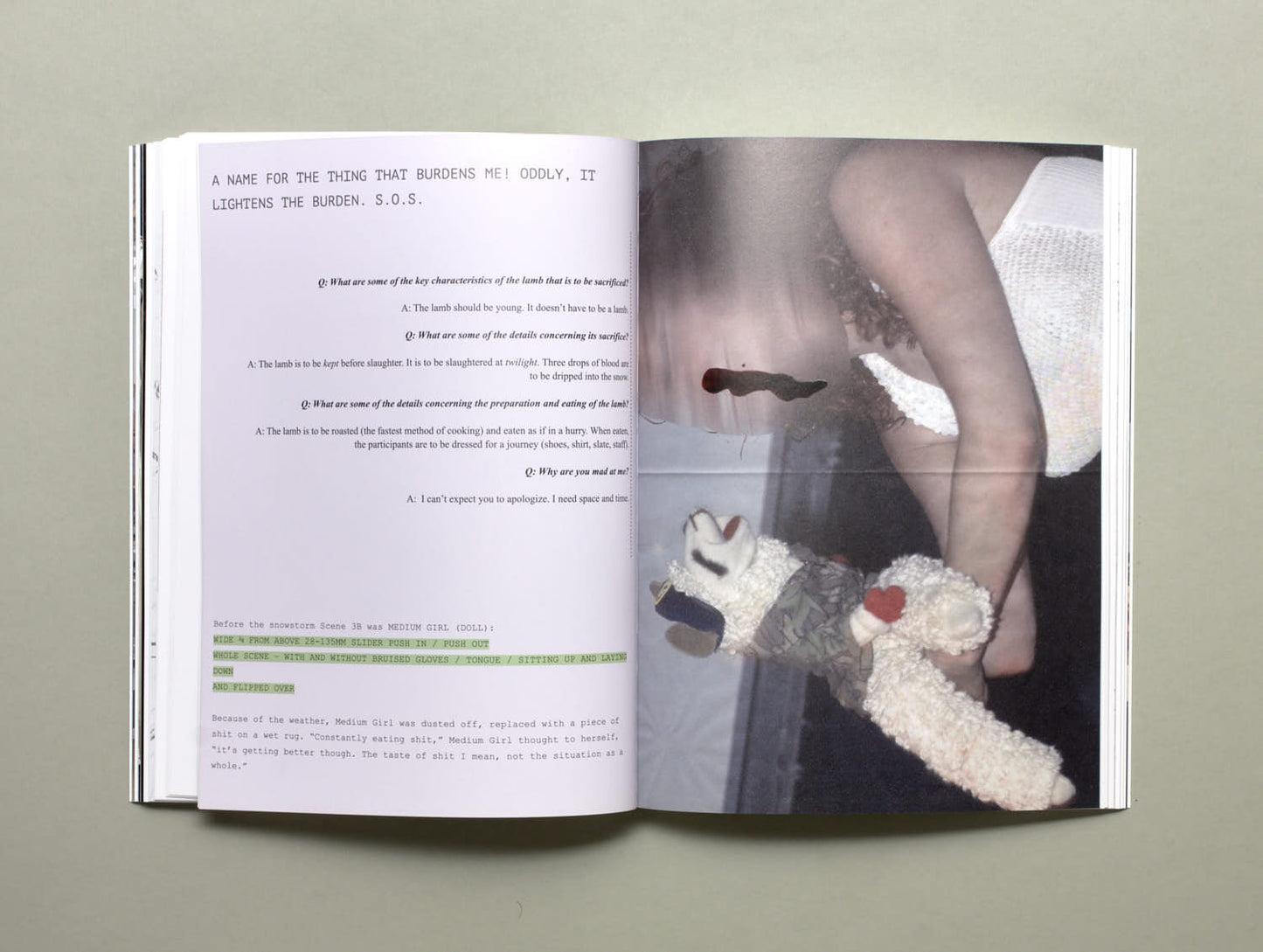 Anselm Franke, Kerstin Stakemeier (Eds.), Illiberal arts