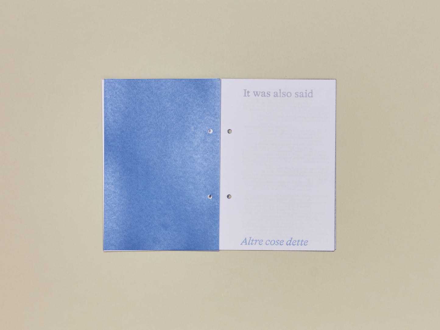 Elisa Lemma, Hidden in Plain Sight: Sonata for Many Voices