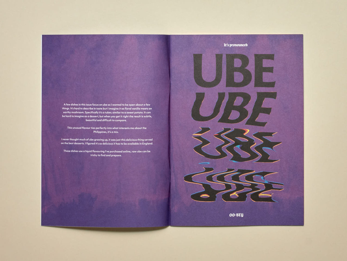 FatBoy Zine Issue 2