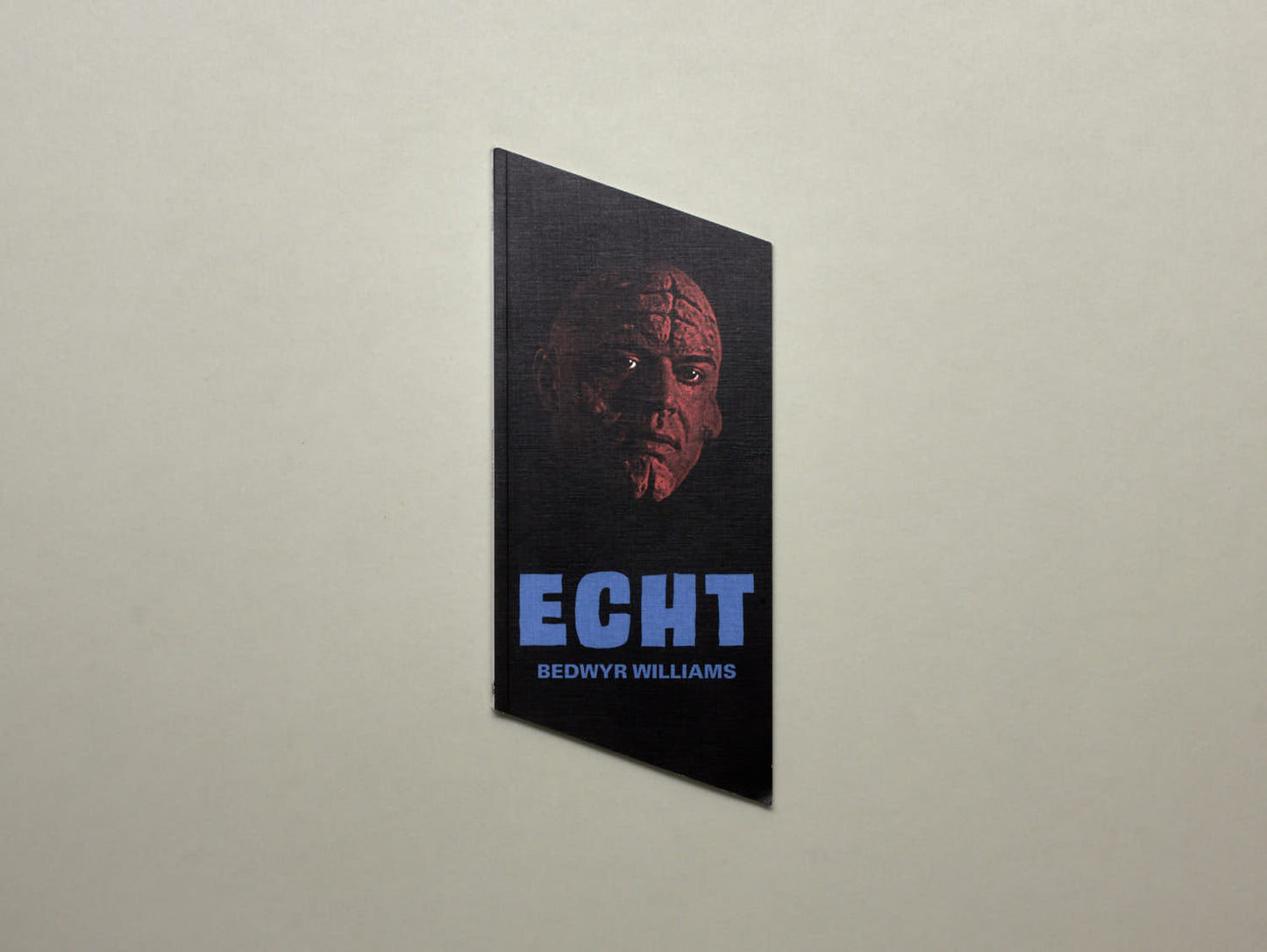 Bedwyr Williams, ECHT/70º