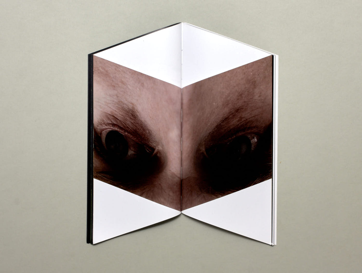 Bedwyr Williams, ECHT/70º