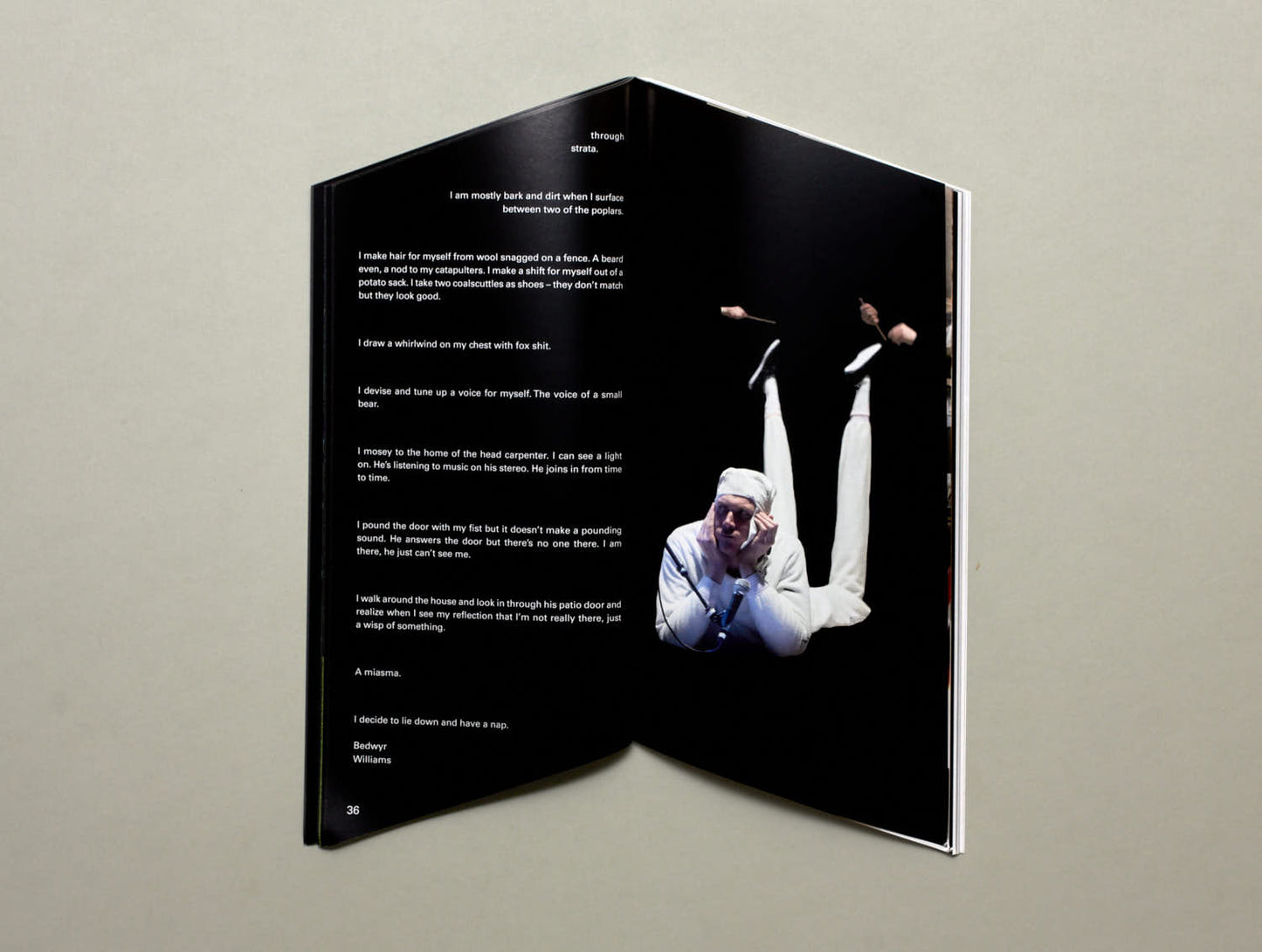 Bedwyr Williams, ECHT/70º