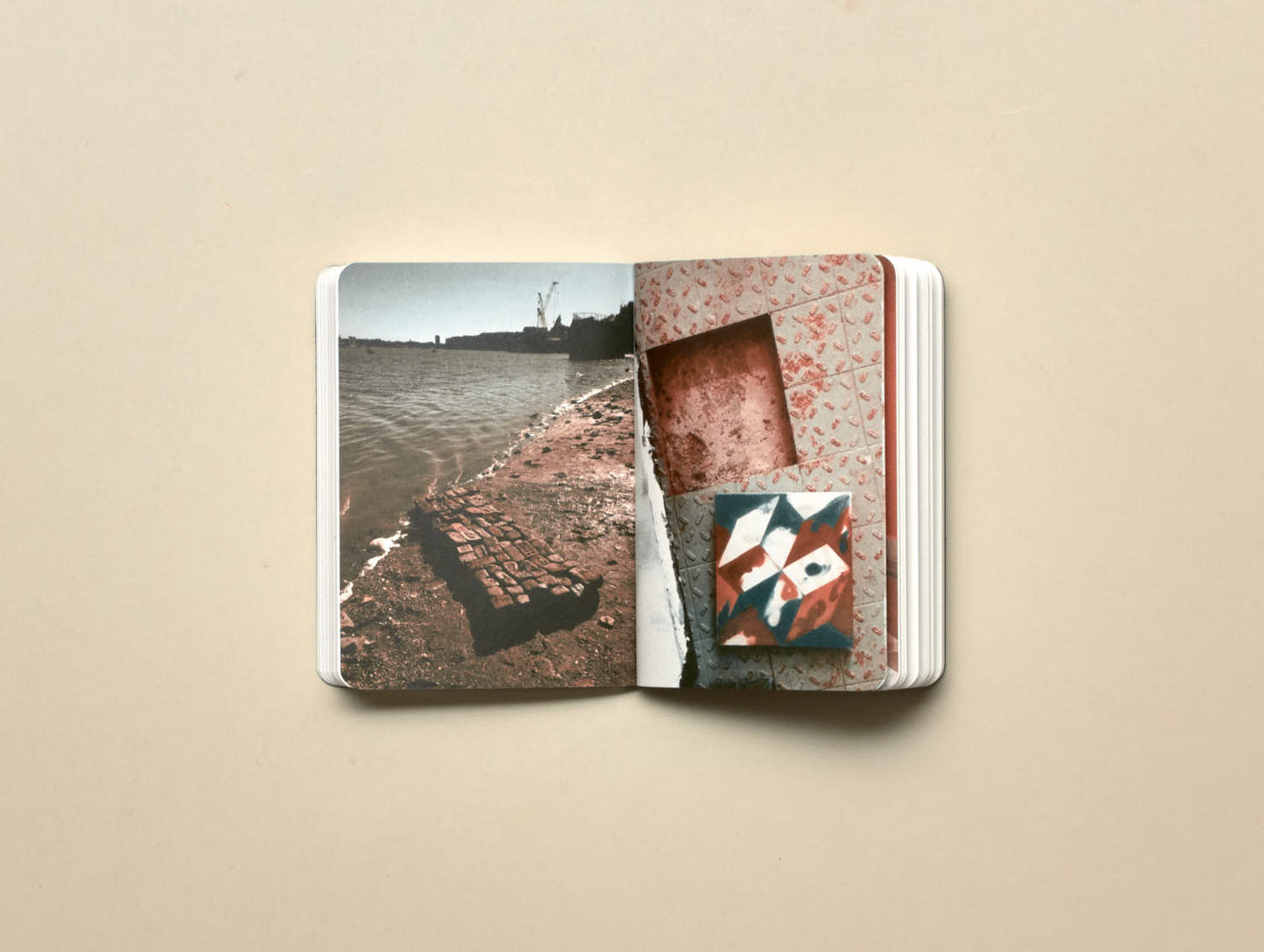 Charlotte York, Enter Fatima