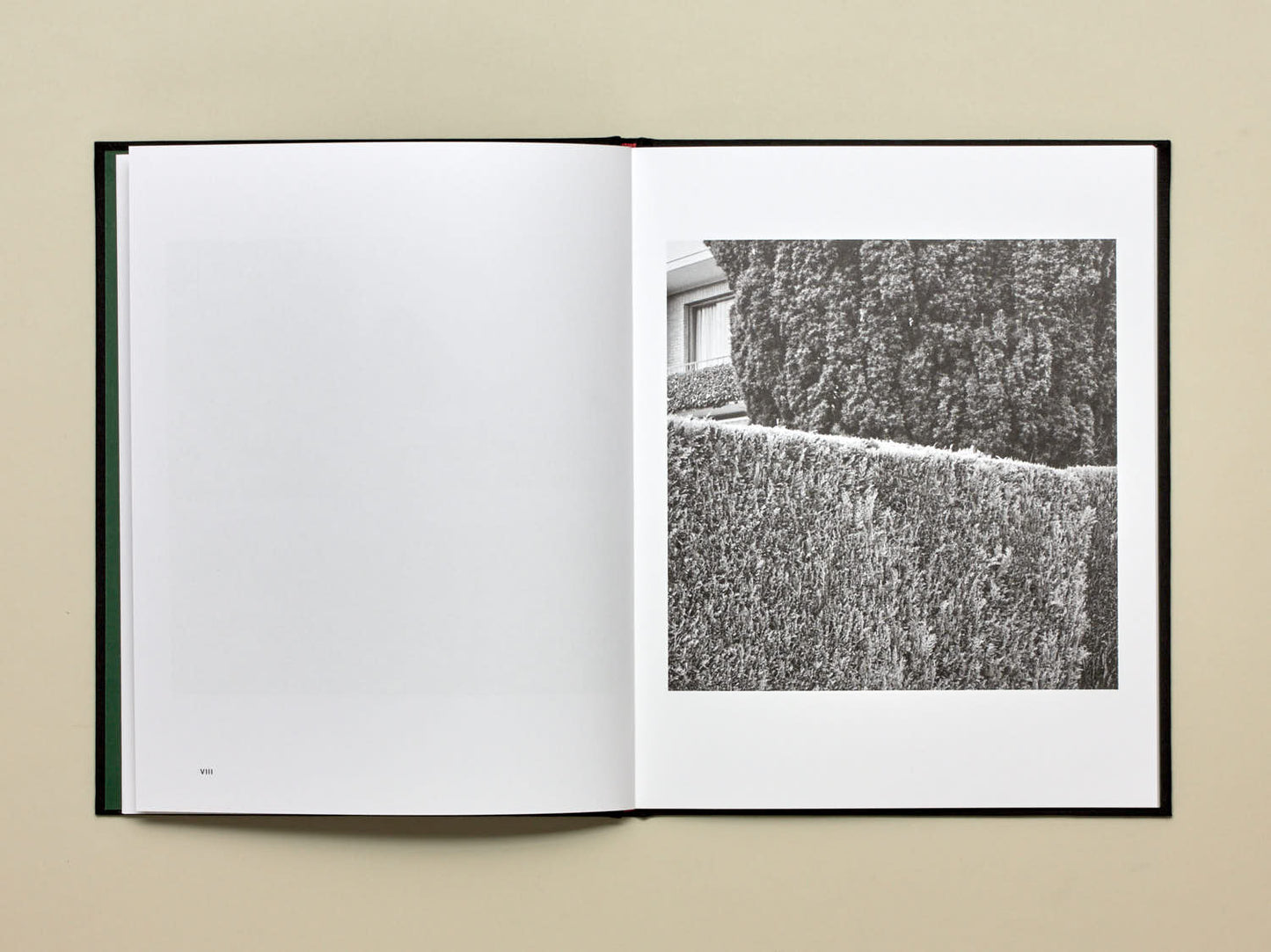 Dieter Daemen, No Place Like Home