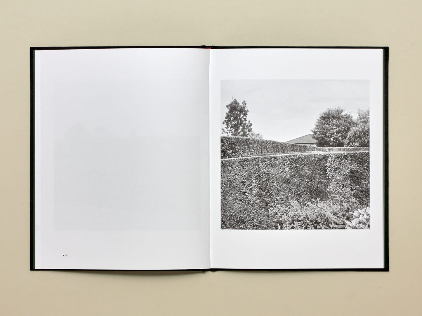 Dieter Daemen, No Place Like Home