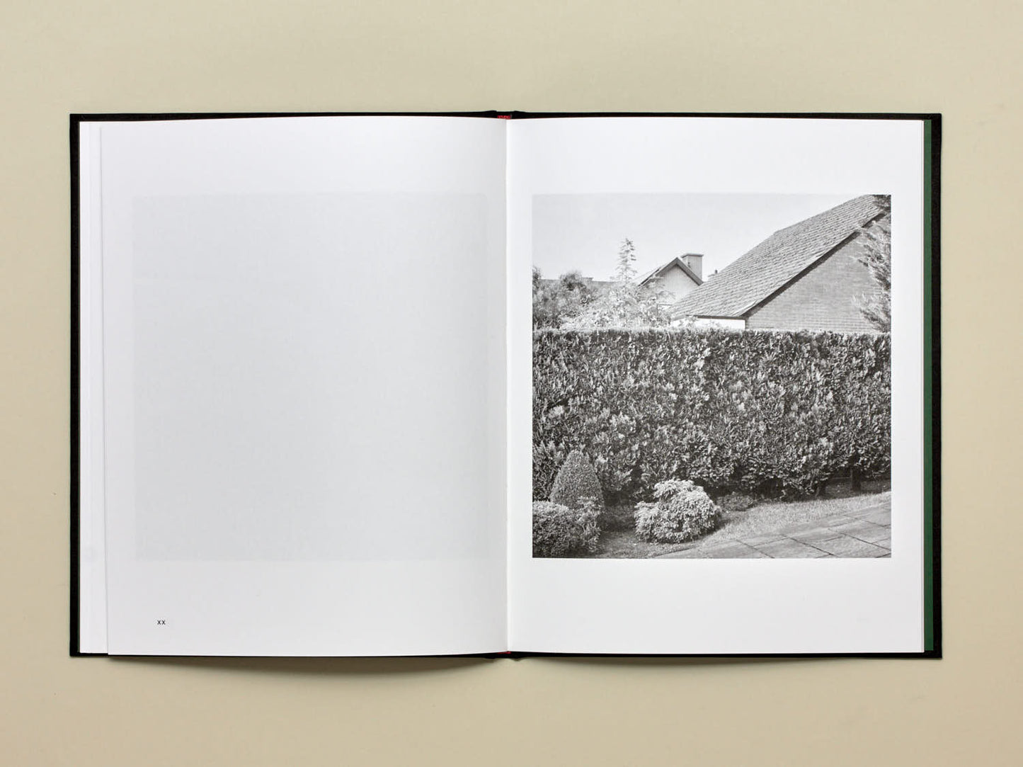 Dieter Daemen, No Place Like Home