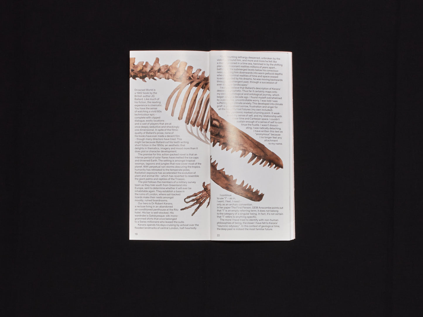 Real Review, Issue 16
