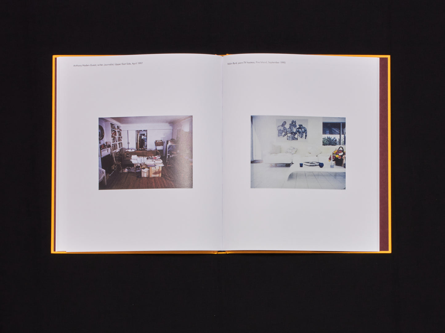 Dominique Nabokov, New York Living Rooms