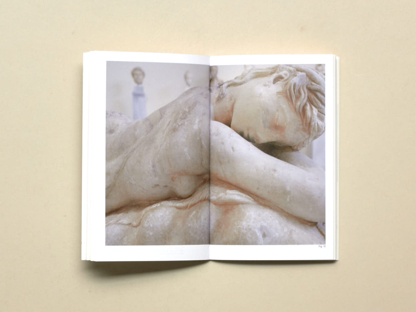 Juan Duque, David Bergé (eds.), The Sleeping Hermaphrodite: Waking up from a Lethargic Confinement