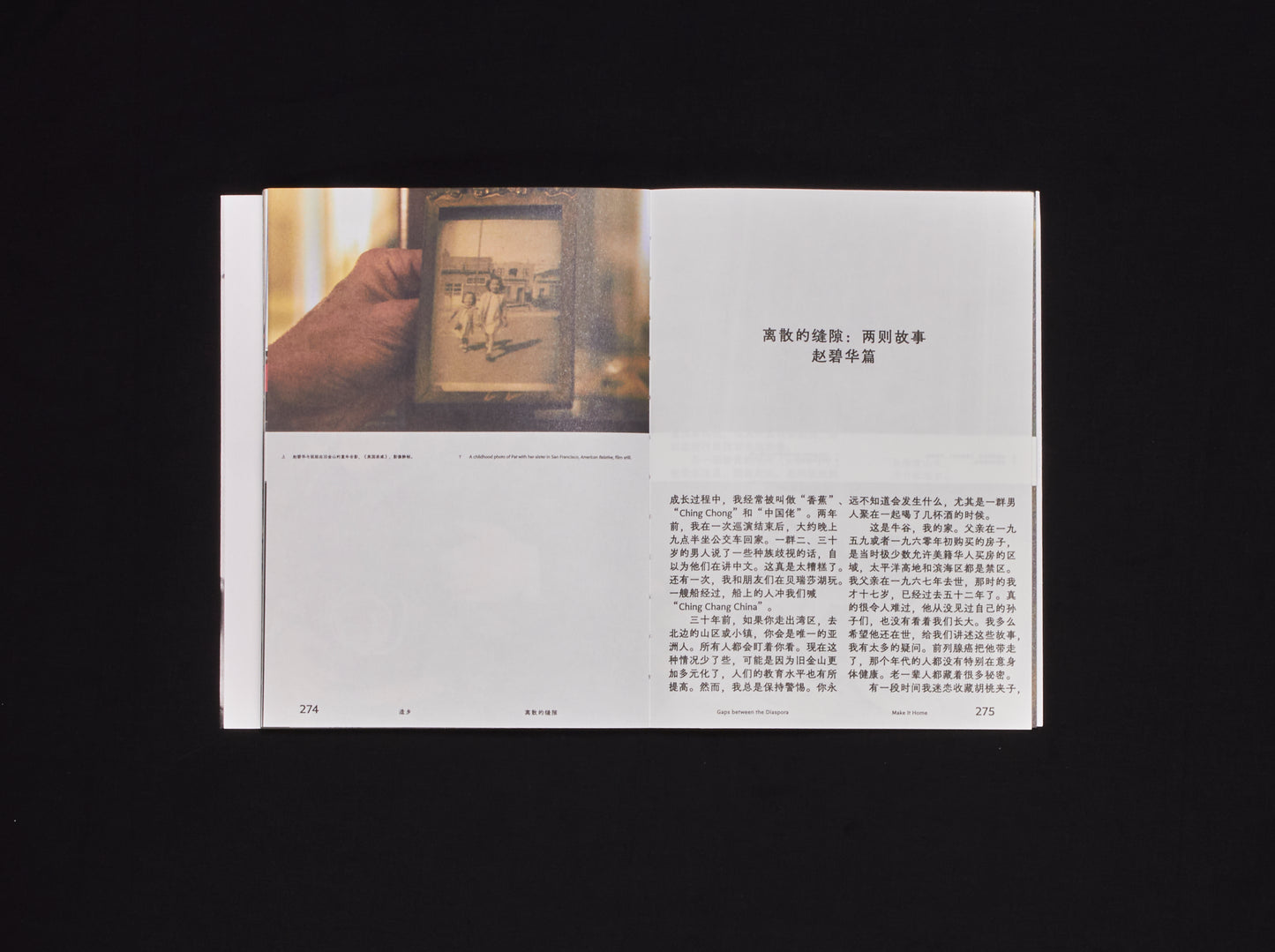 Luka Yuanyuan Yang, Dance in Herland 她乡舞曲