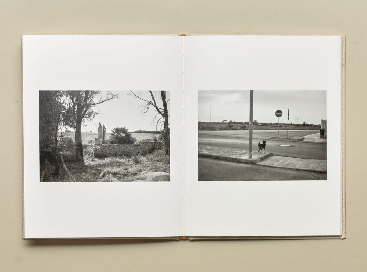 Irina Rozovsky and Mark Steinmetz, Insieme