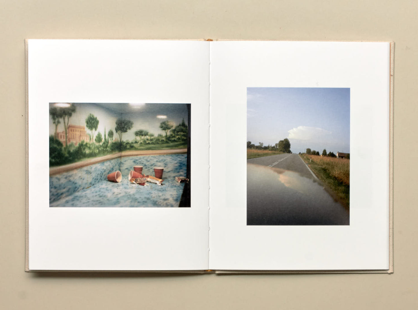 Irina Rozovsky and Mark Steinmetz, Insieme