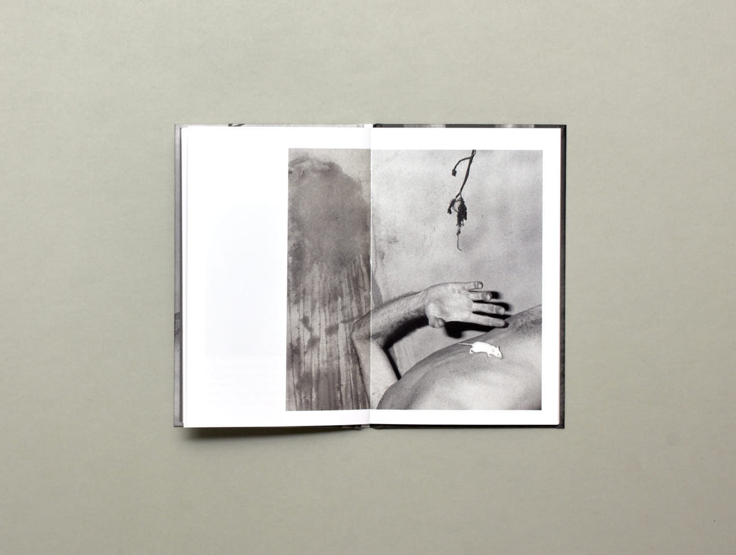 Hotshoe, Crude Metaphors 1-5