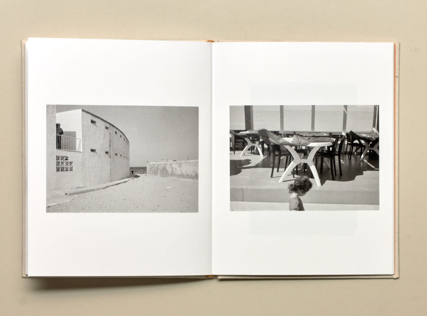 Irina Rozovsky and Mark Steinmetz, Insieme