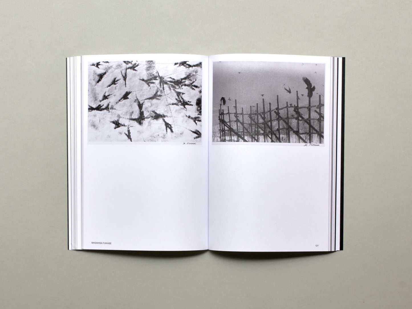 Hotshoe, Issue 209: An Emotional Landscape