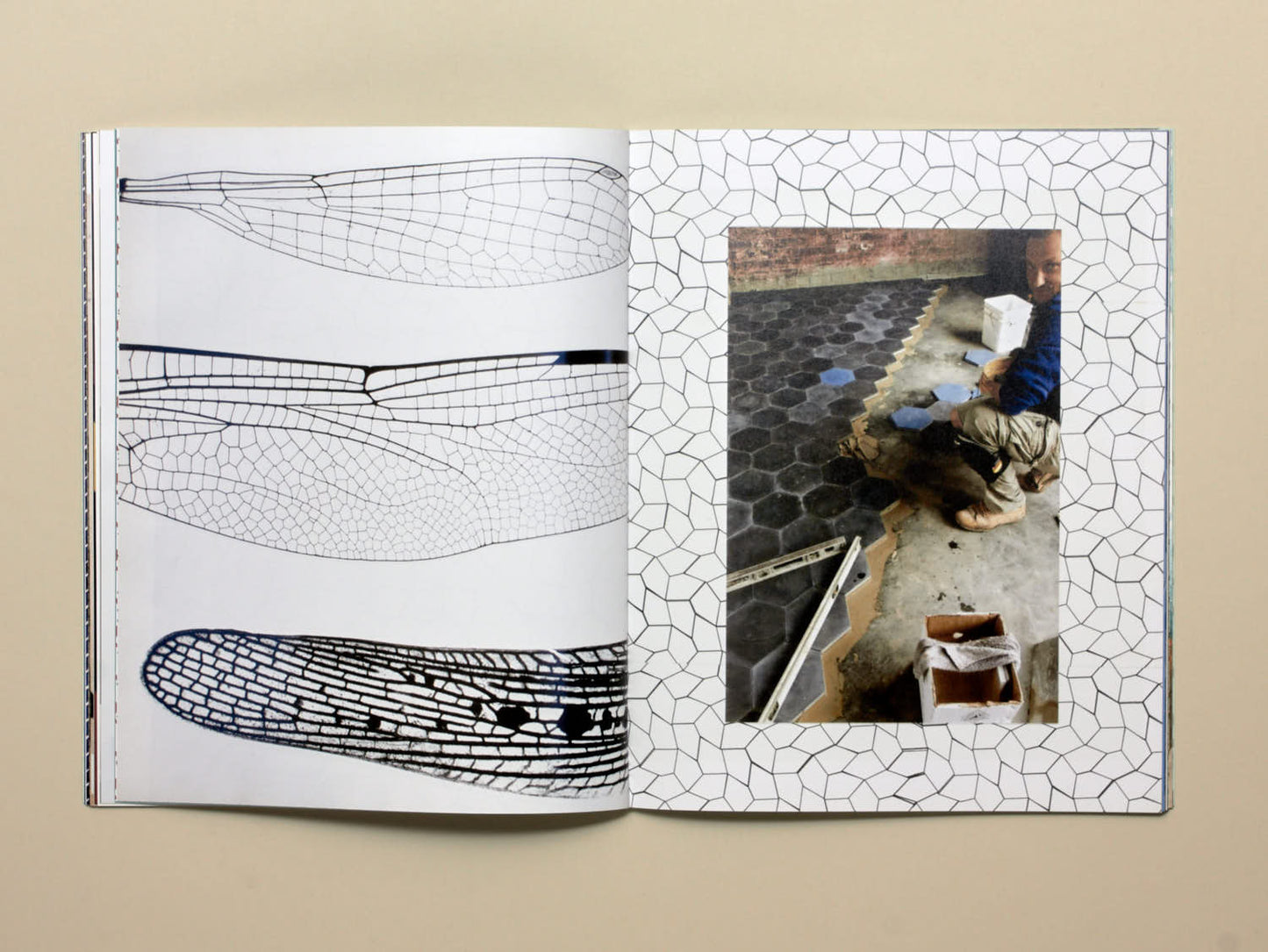 Sarah Crowner, Patterns