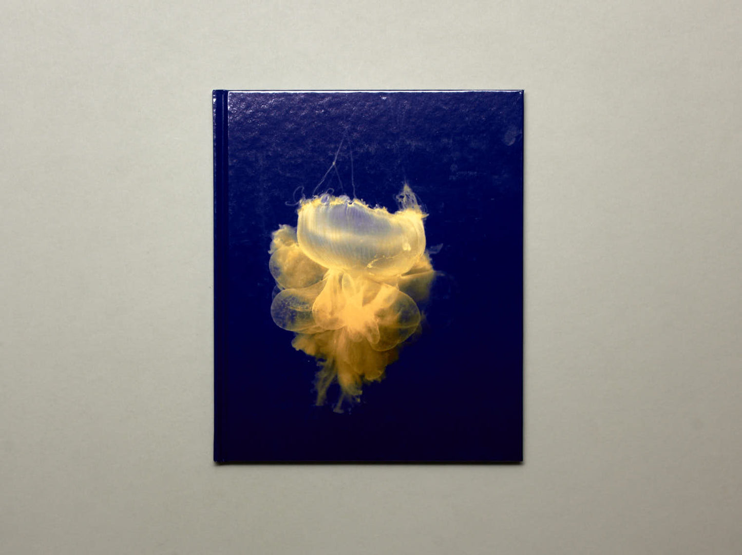 Aurélien Froment, Pulmo Marina