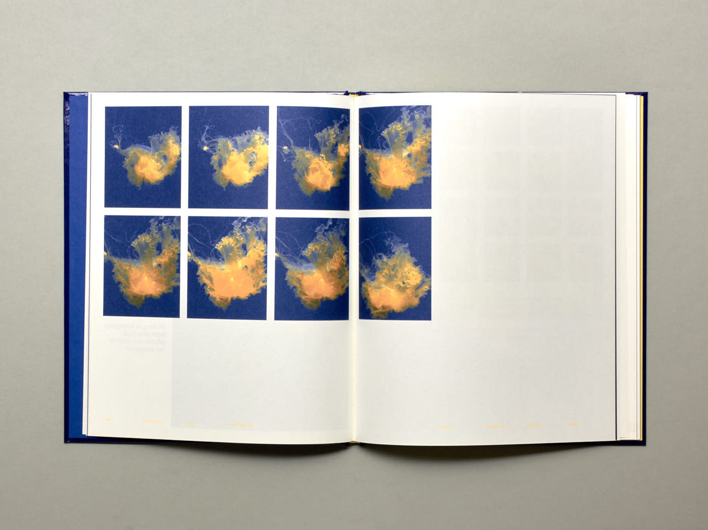 Aurélien Froment, Pulmo Marina