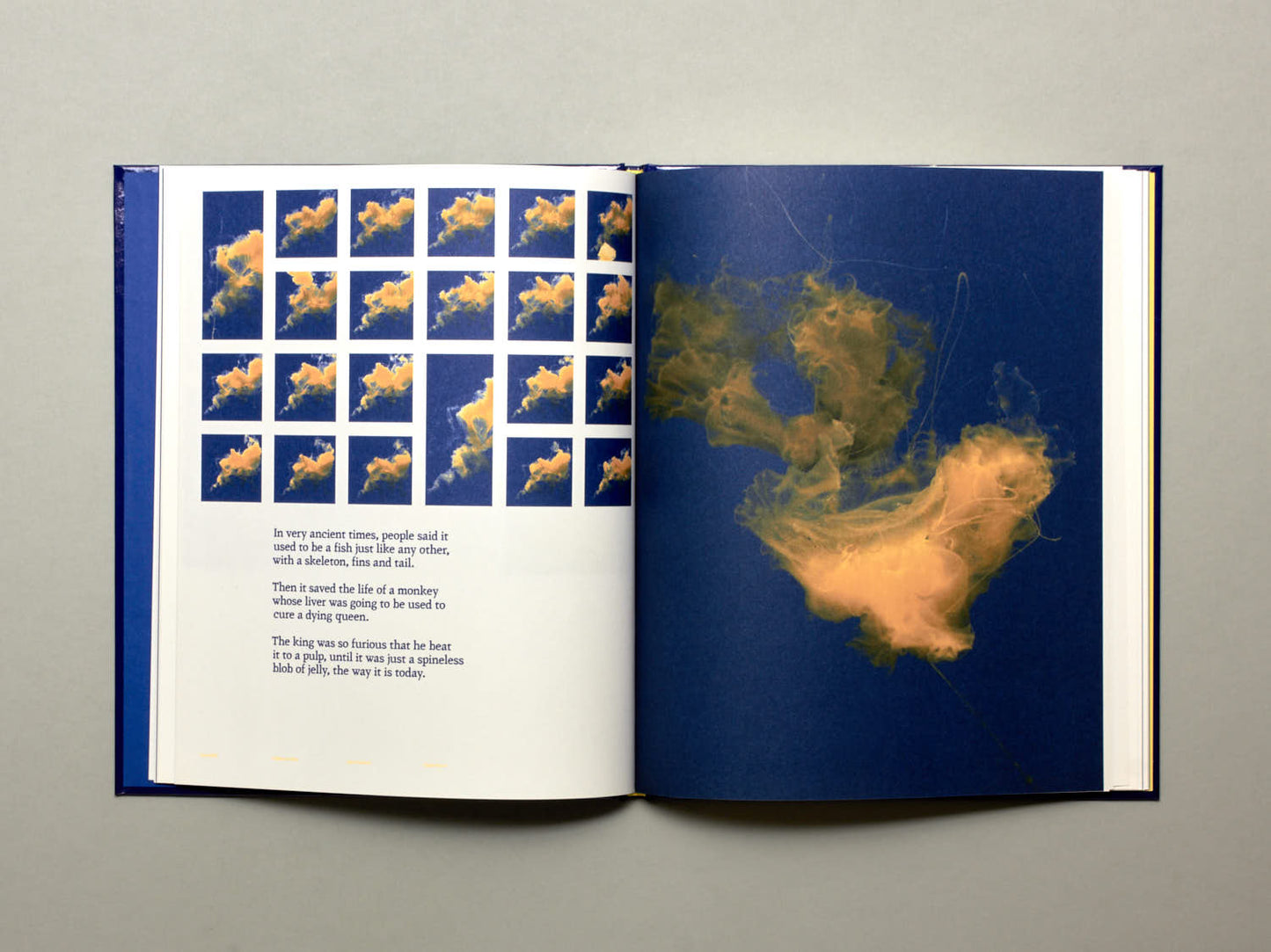 Aurélien Froment, Pulmo Marina