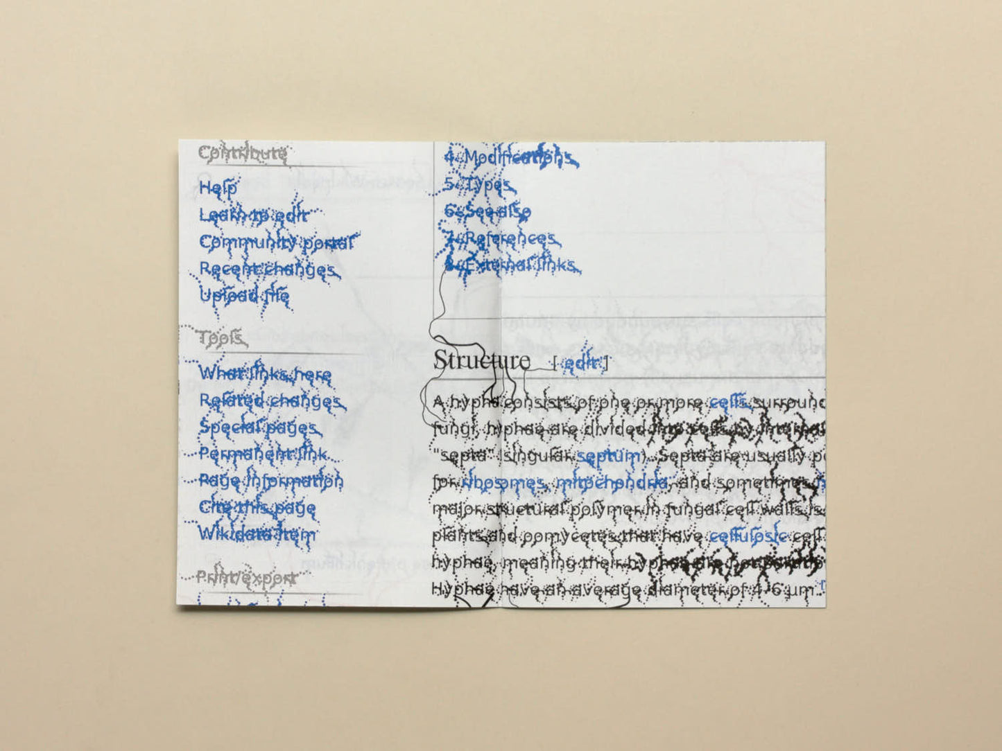 Raphaël Bastide, No.31 Fungal