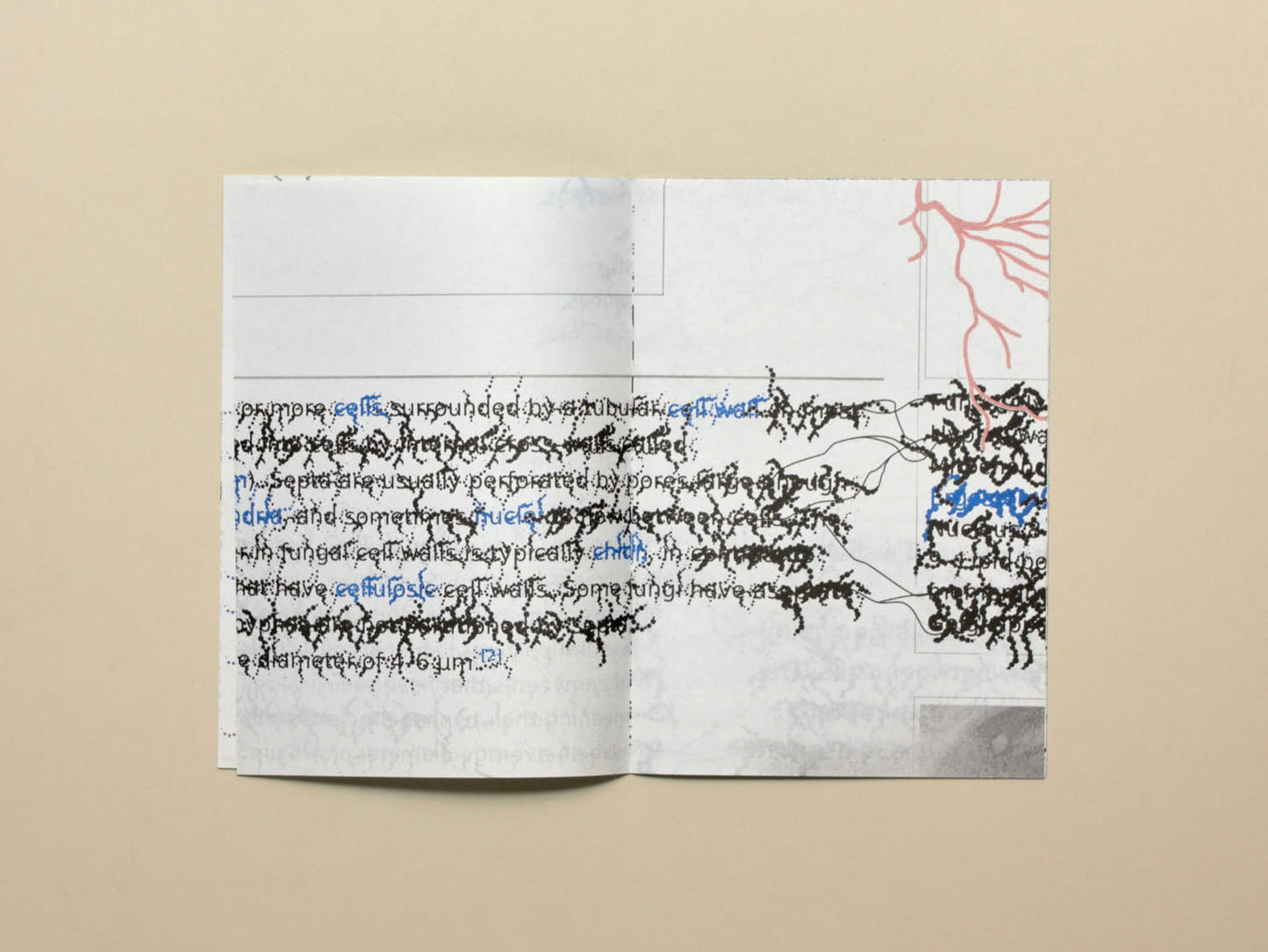 Raphaël Bastide, No.31 Fungal