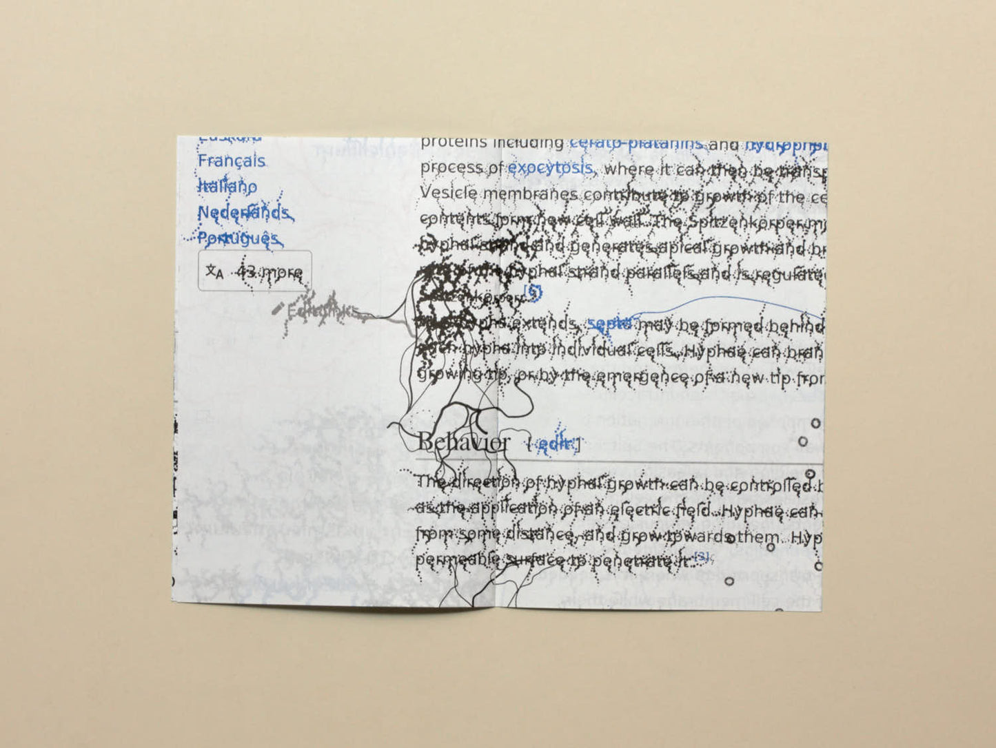 Raphaël Bastide, No.31 Fungal