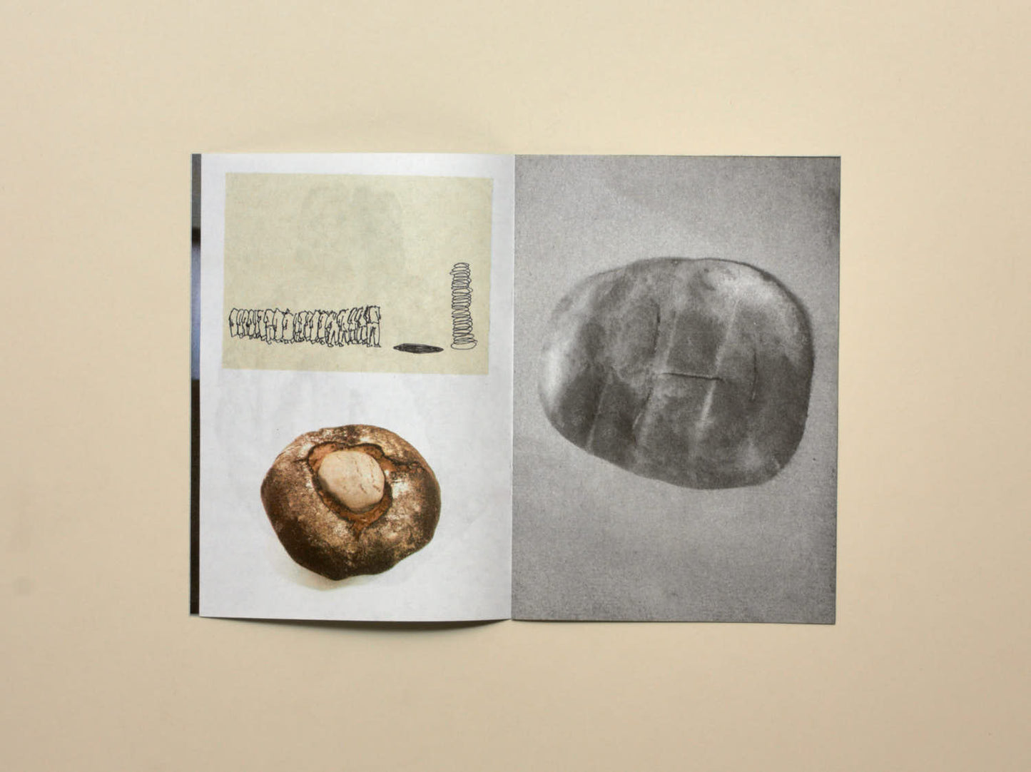 Lexie Smith, No.6 Bread As
