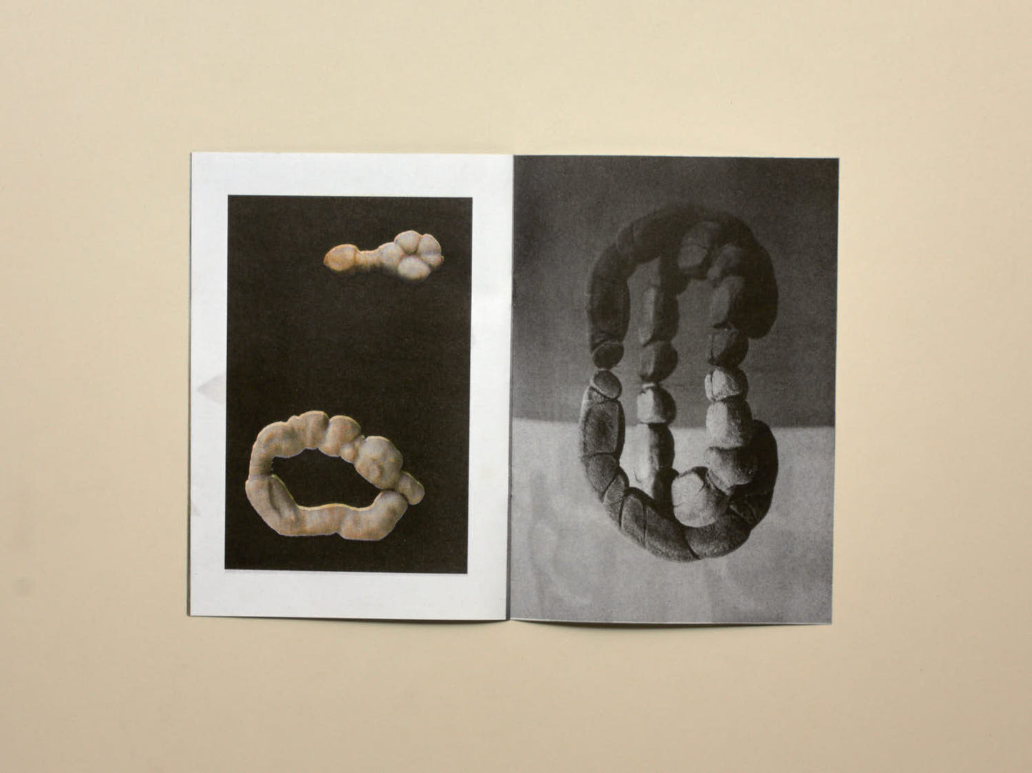 Lexie Smith, No.6 Bread As