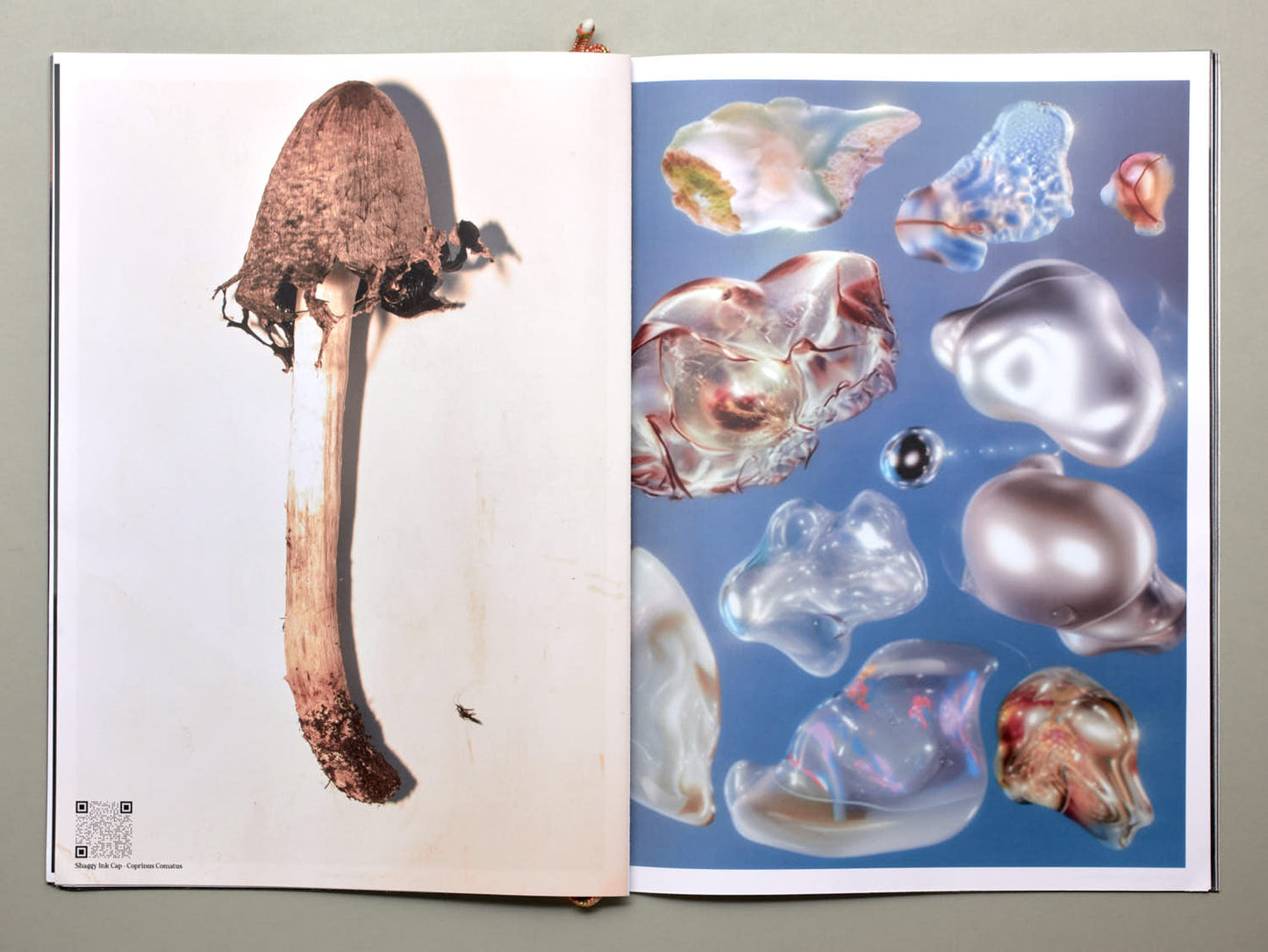 Peak Magazine, Volume 2