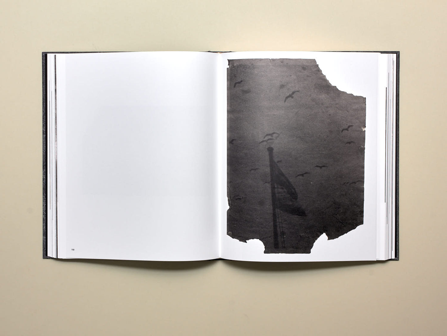 Stéphan Crasneanscki, Medea