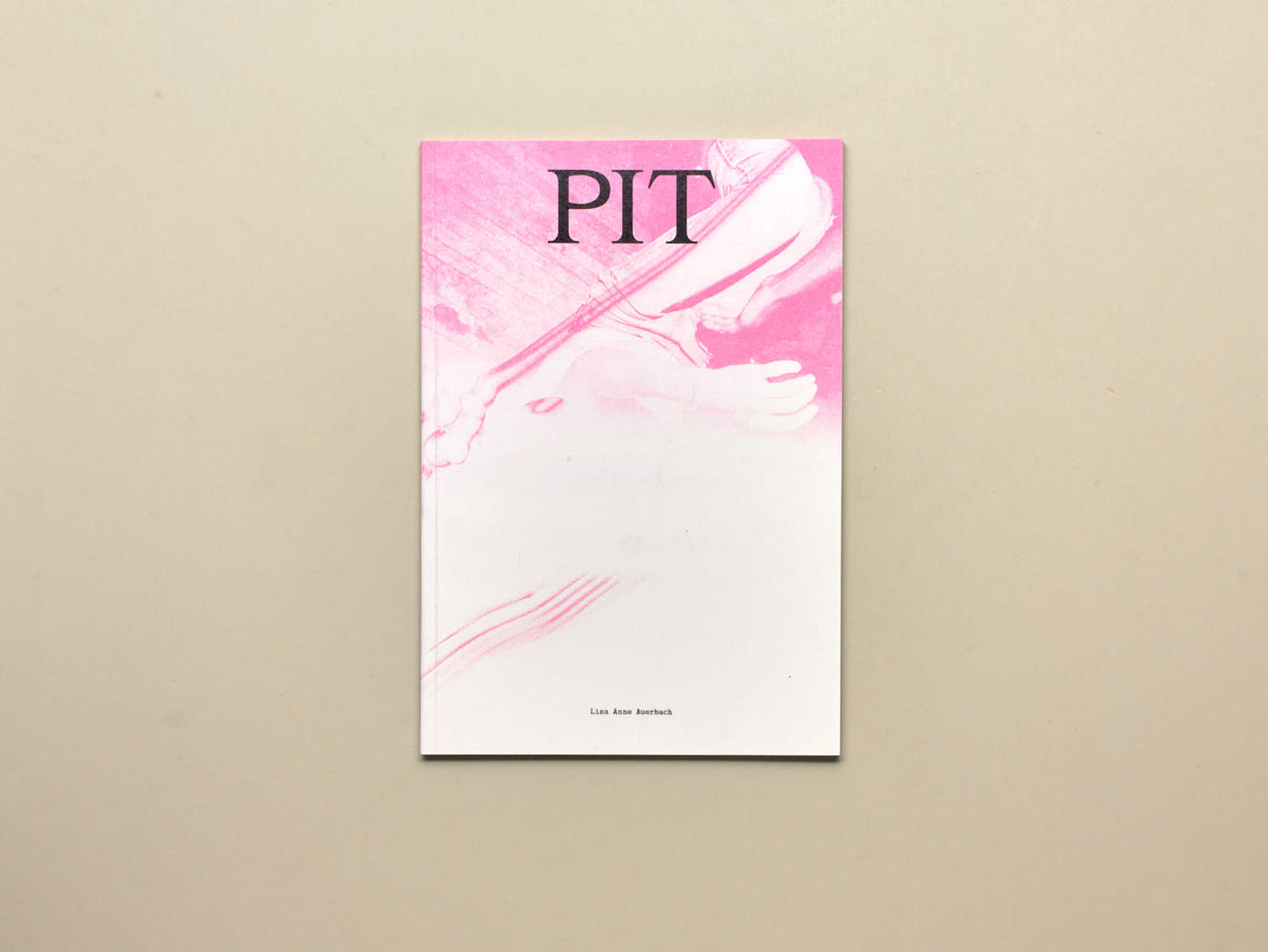 Lisa Anne Auerbach, PIT