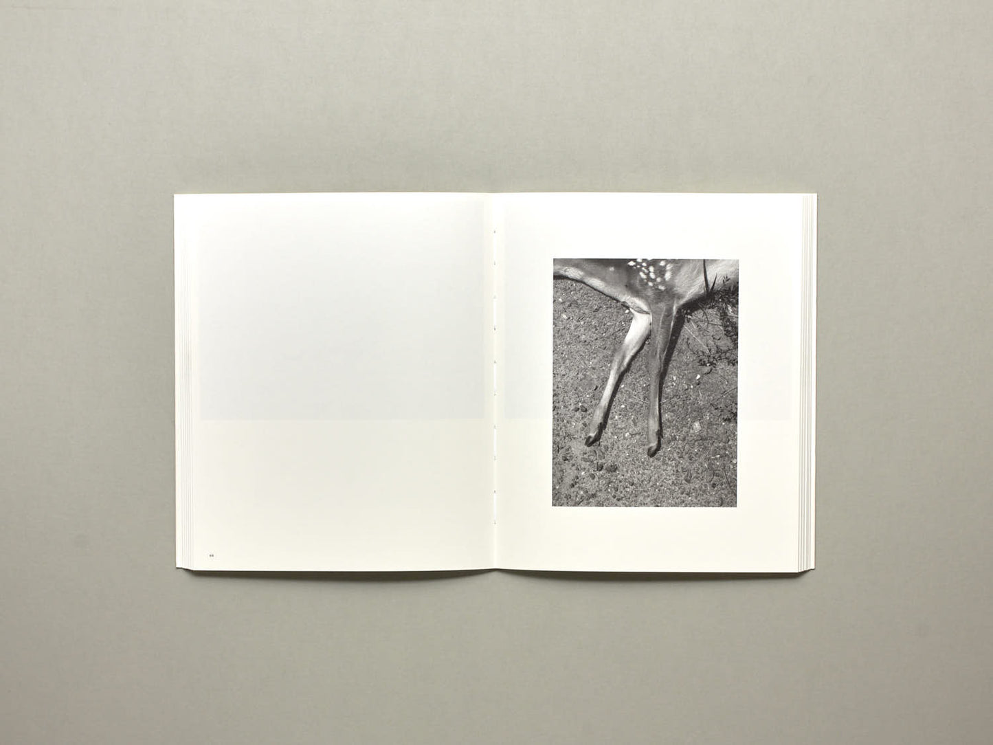 Odette England, The Long Shadow; Unwrapped - Marion Post Wolcott’s Labor and Love