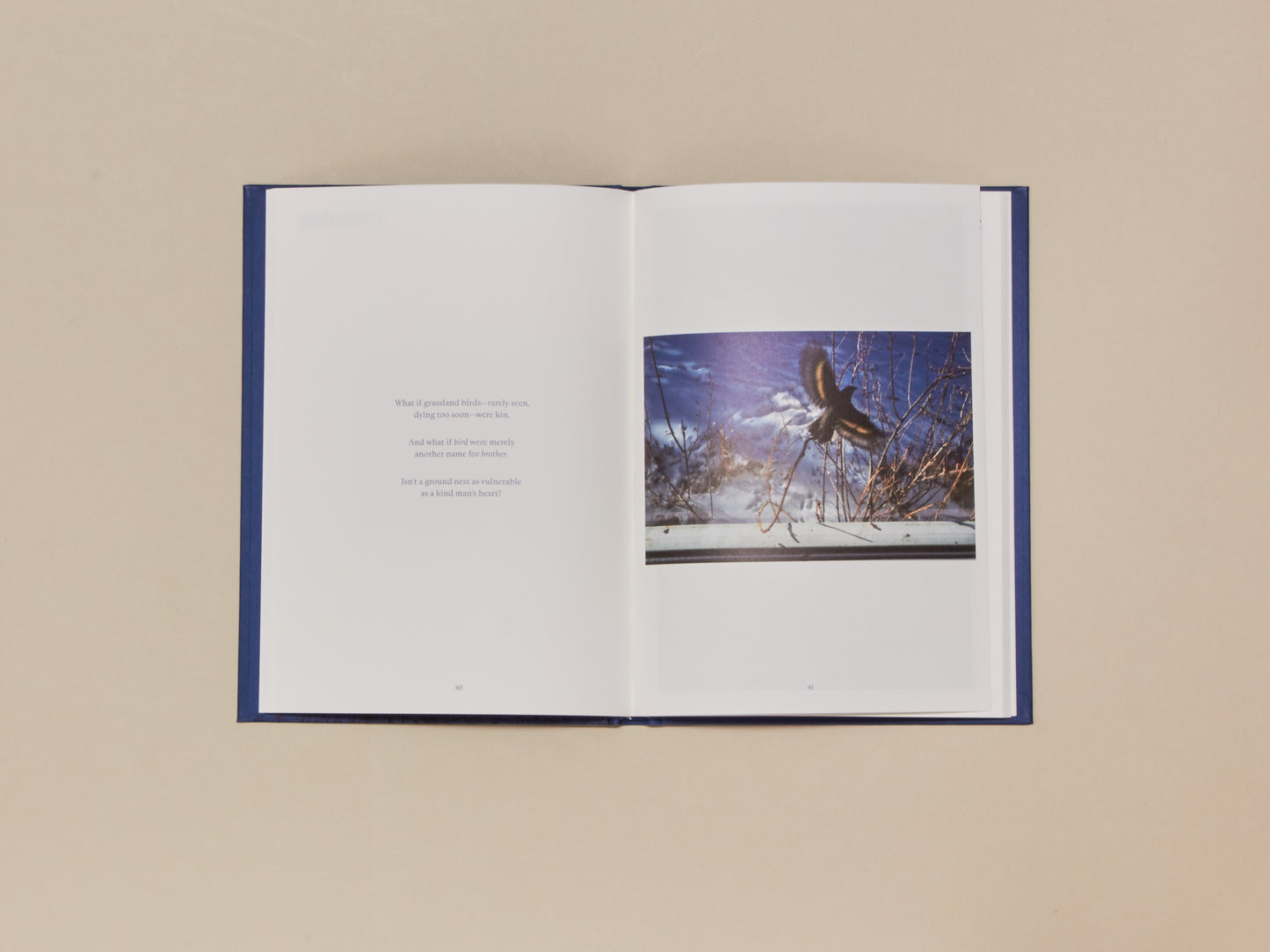 Rebecca Norris Webb, A Difficulty is a Light