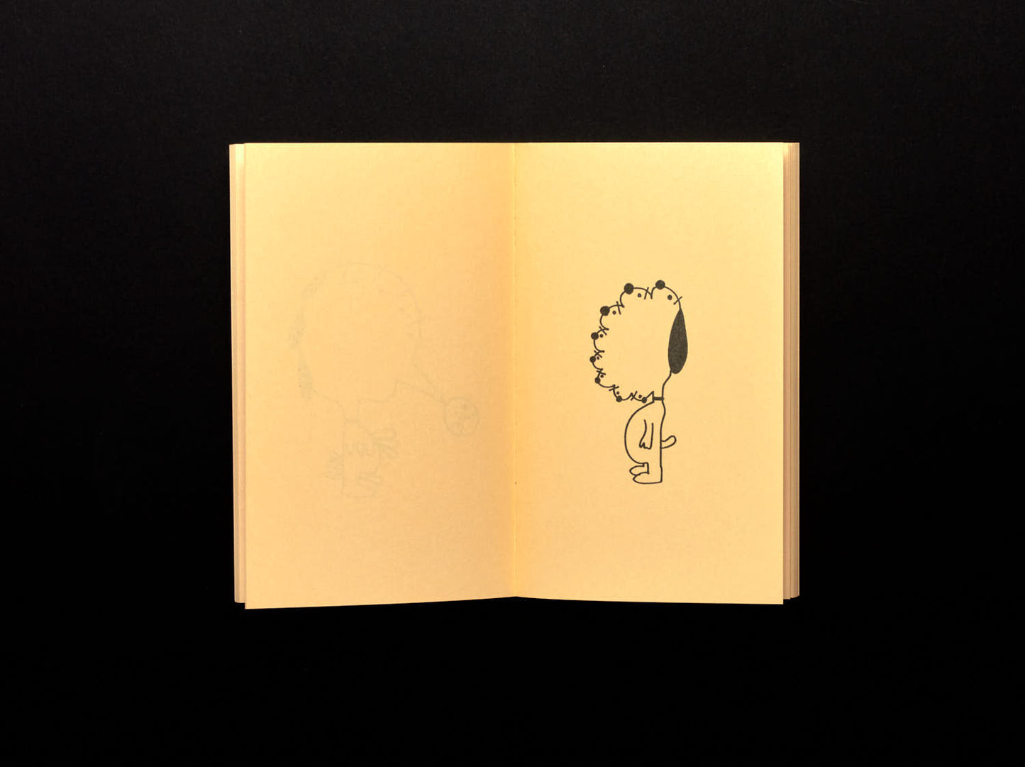 Ken Kagami, Freaky Dog and Freaky Boy