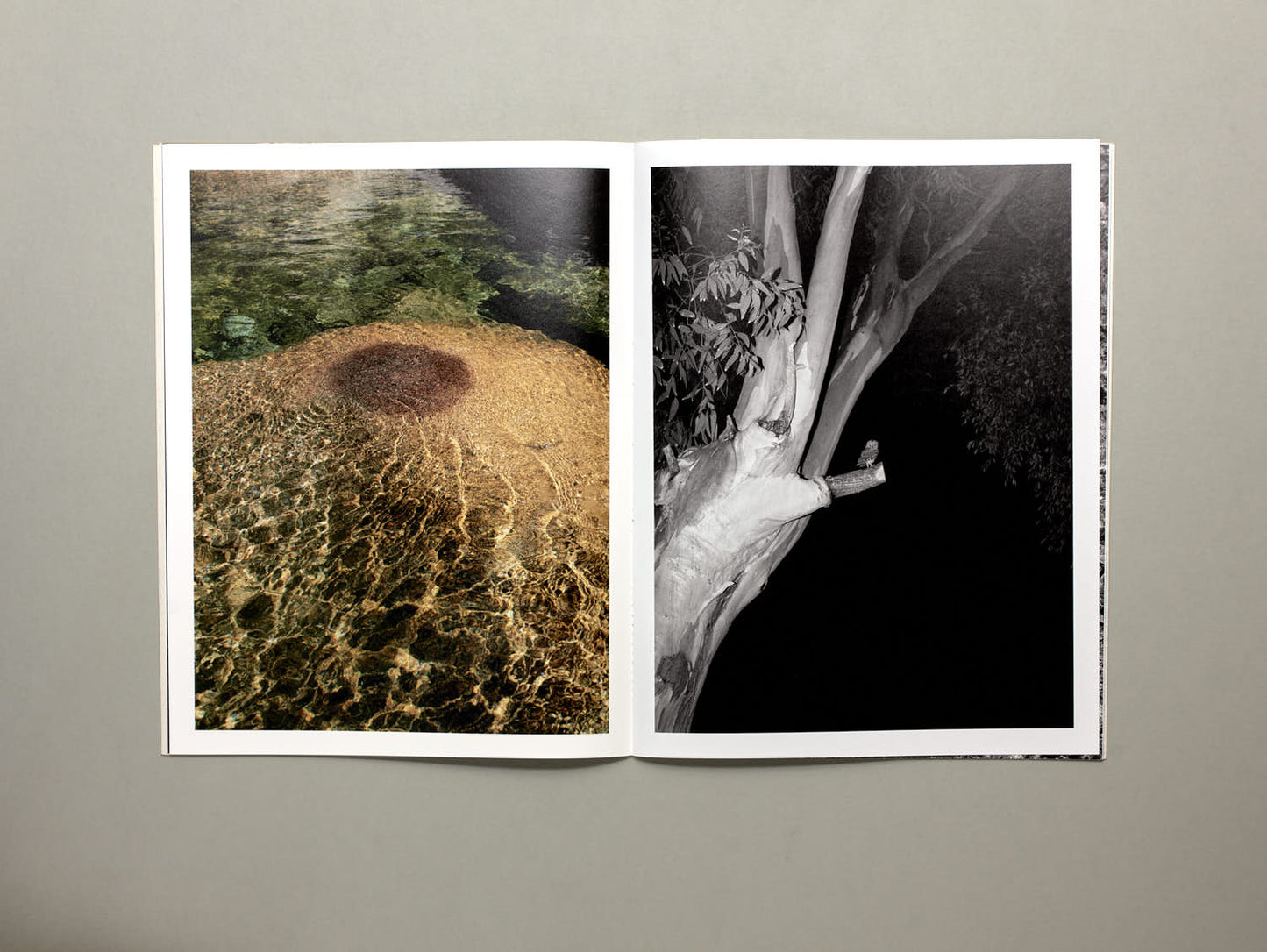Sebastien Arrighi, Shivers