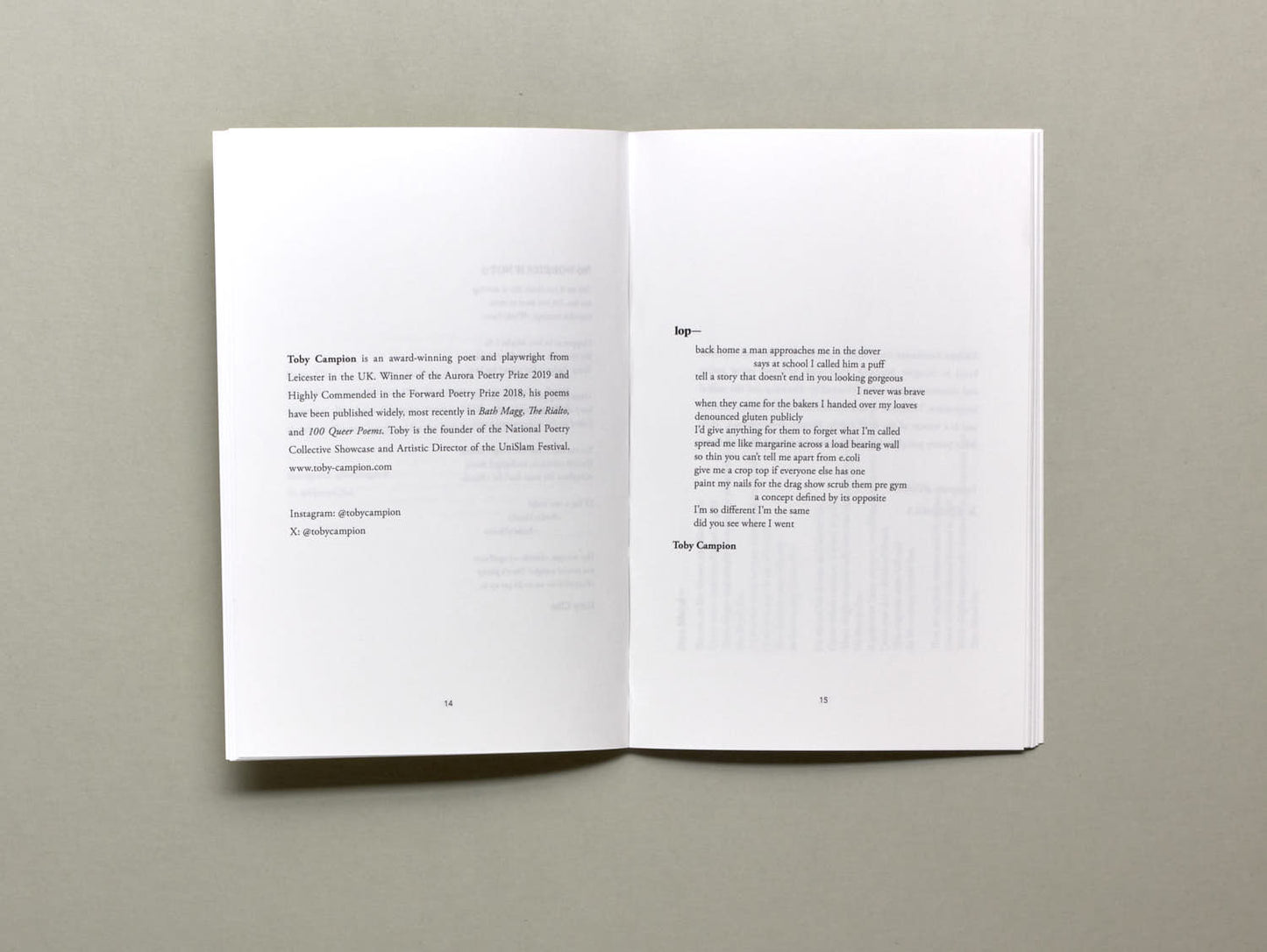 Fourteen Poems Issue 13