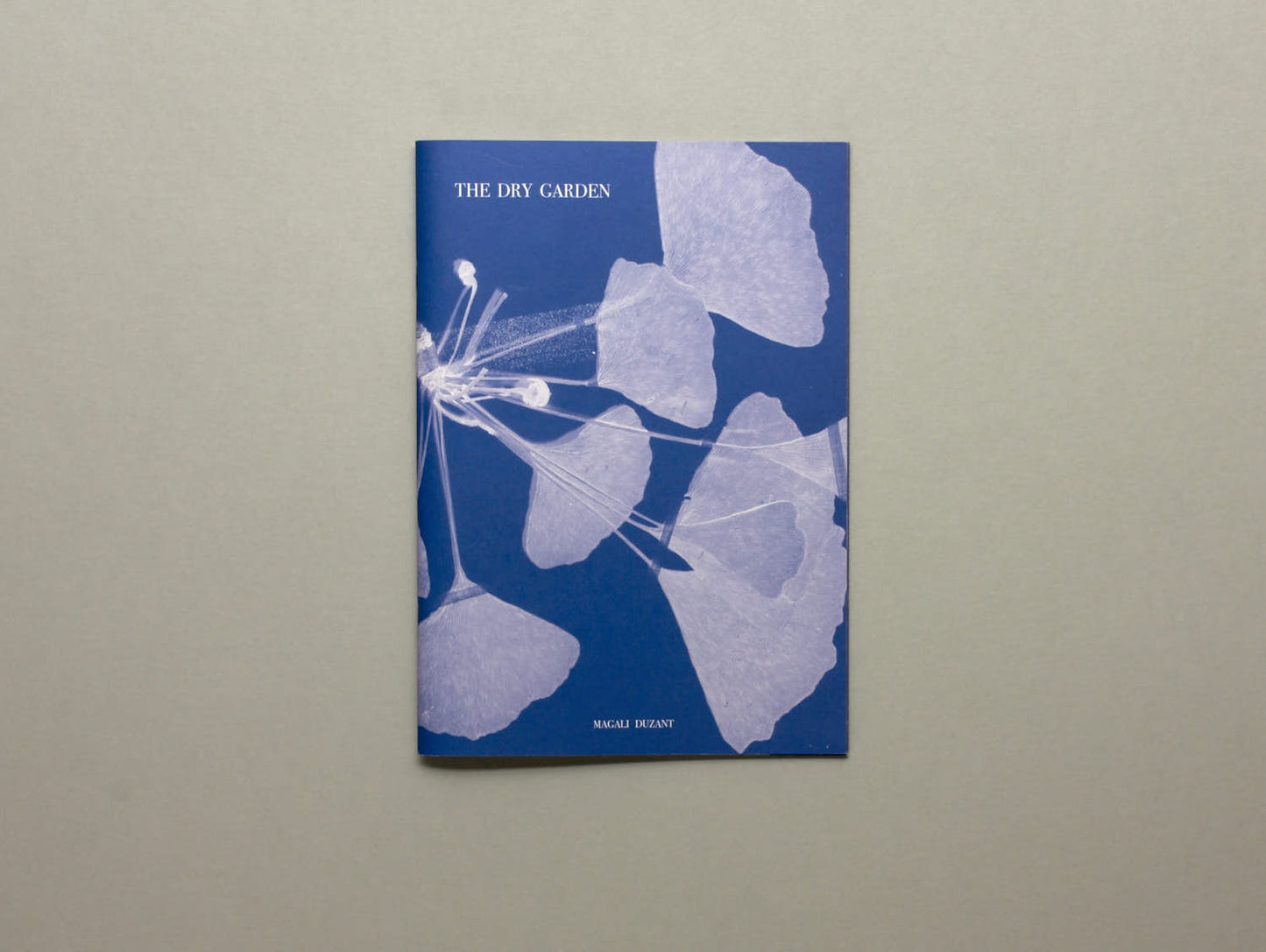 Magali Duzant, The Dry Garden