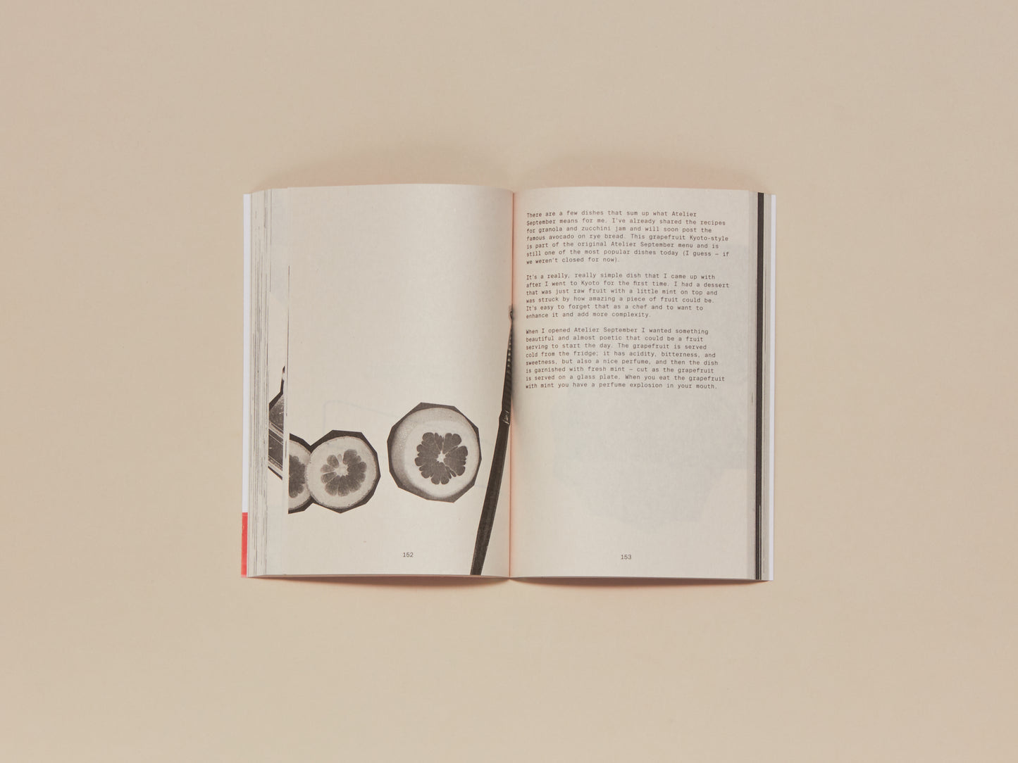 Frederik Bille Brahe, All the Stuff We Cooked: 49 recipes