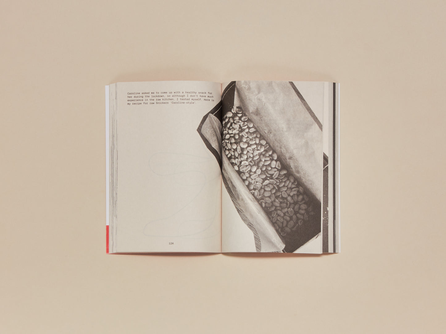 Frederik Bille Brahe, All the Stuff We Cooked: 49 recipes