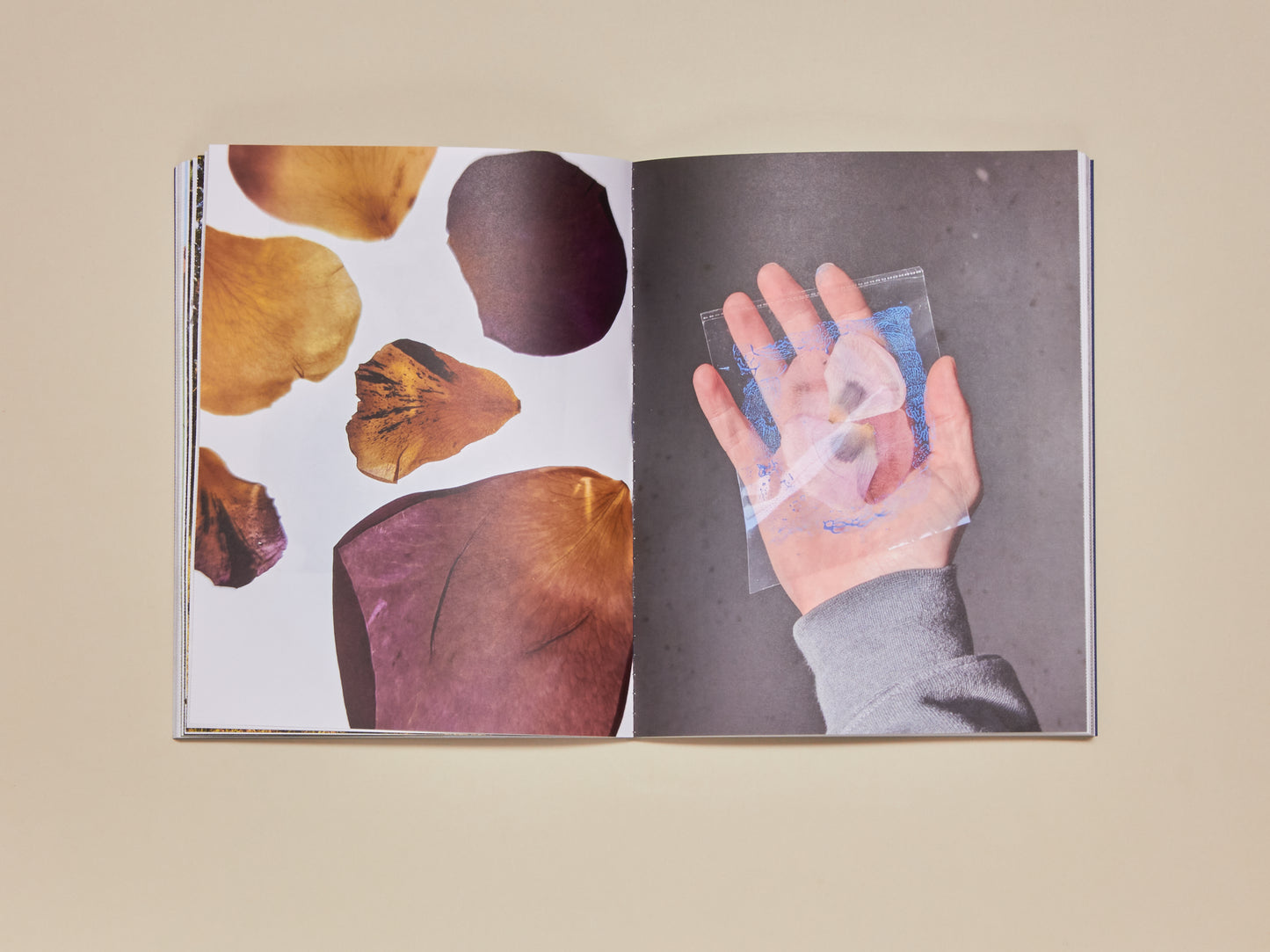 Luke Norman & Nik Adam, Reconstructed Nature