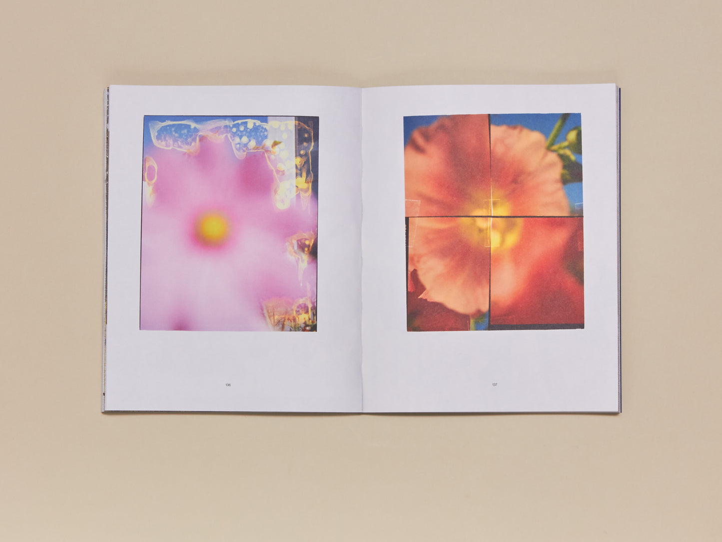 Luke Norman & Nik Adam, Reconstructed Nature