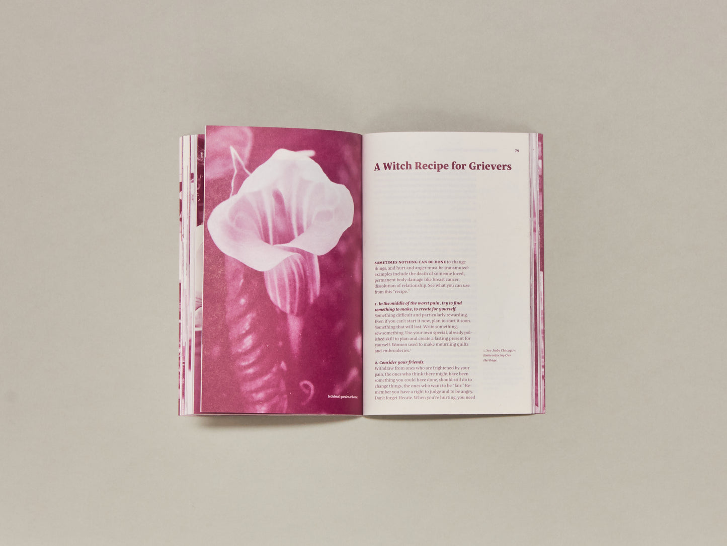 Our daily lives have to be a satisfaction in themselves: 40 years of Bloodroot