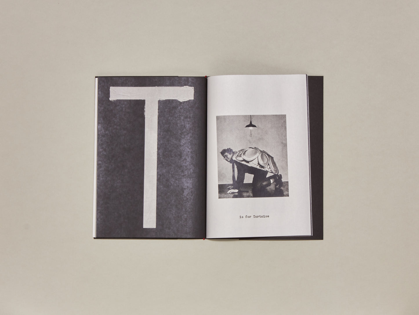 Jack Davison, A is for Ant Newspaper