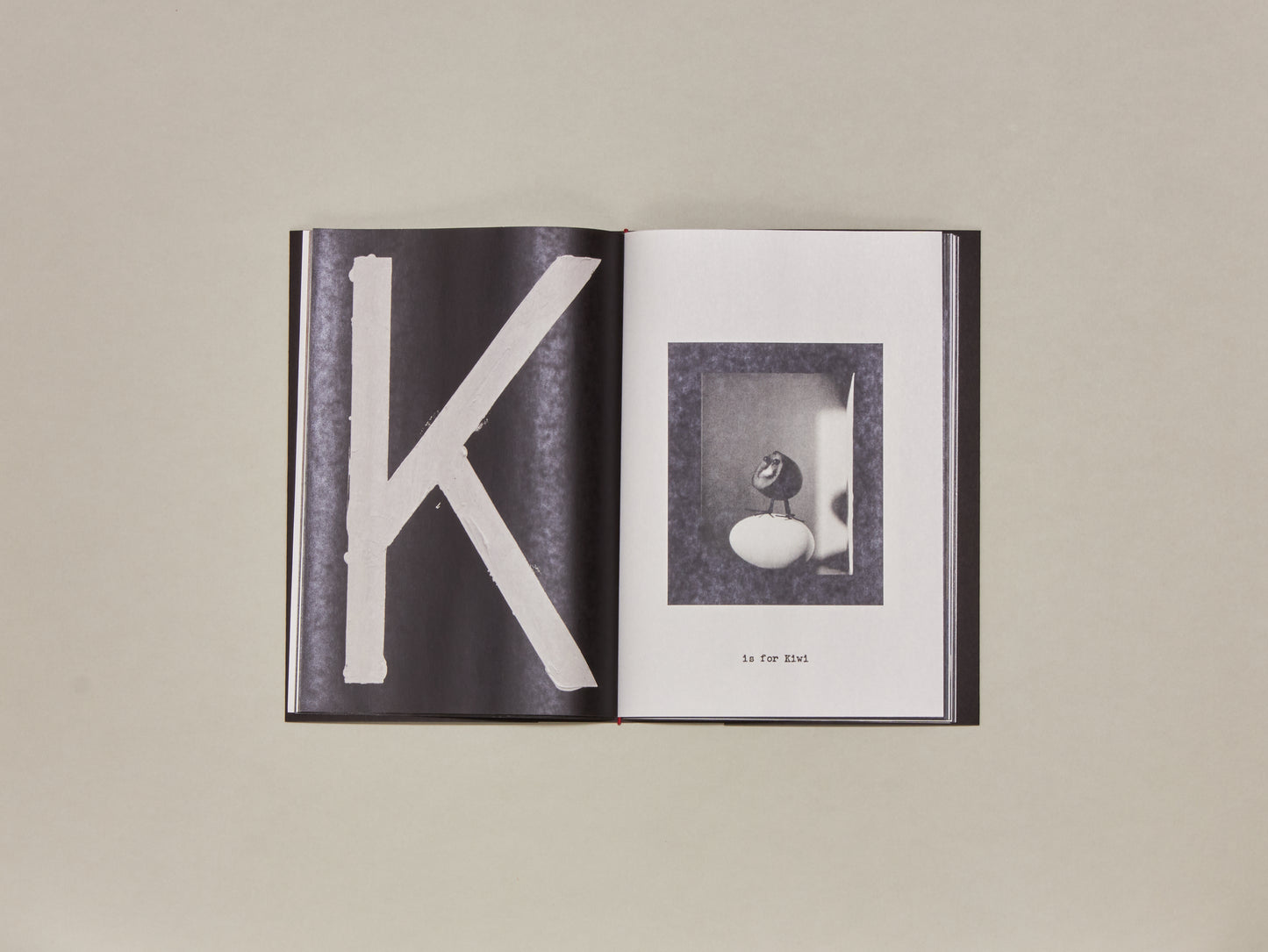 Jack Davison, A is for Ant Newspaper
