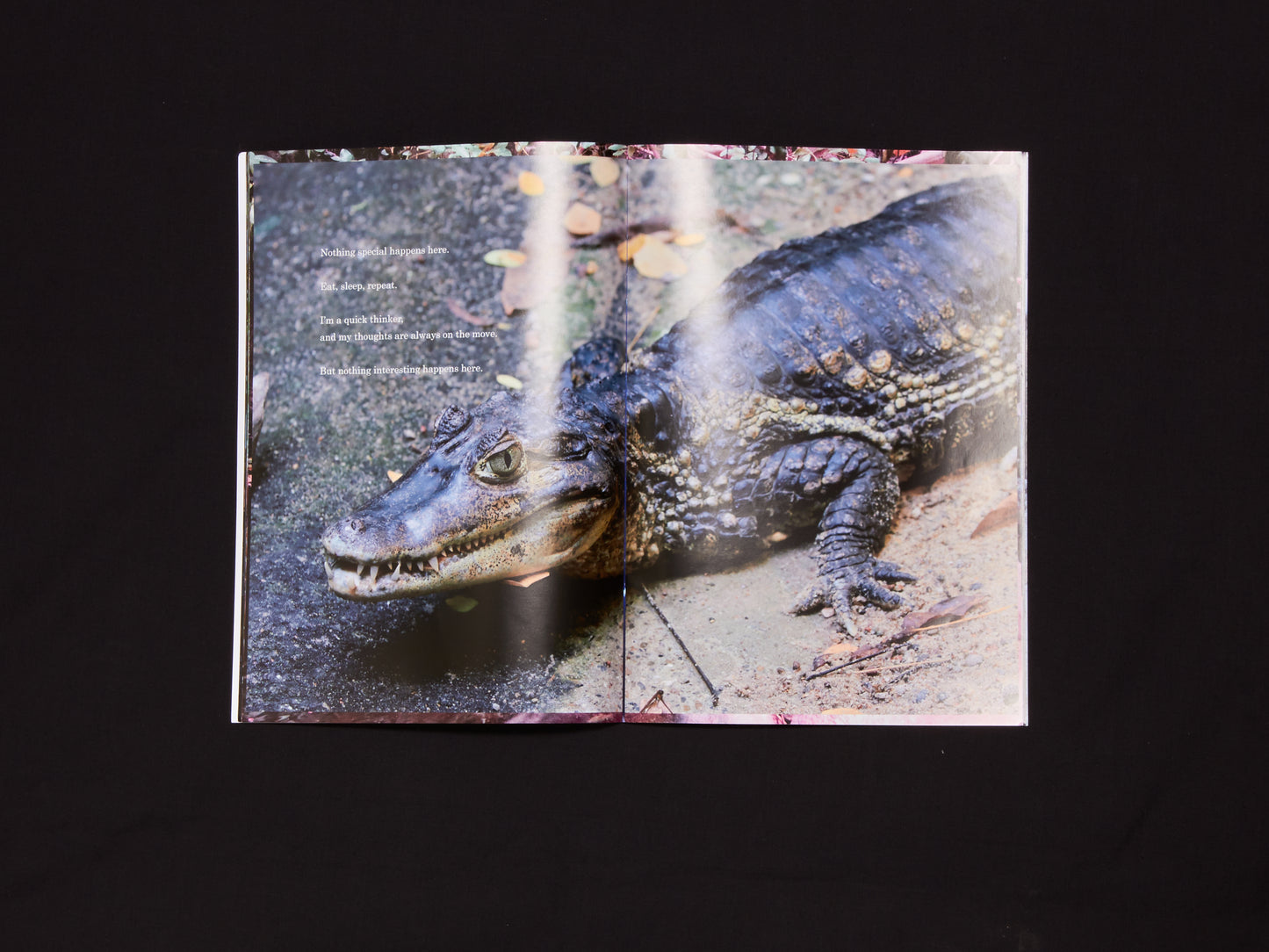 Maki Ishii, 3.33333333.....x3 vol.2 Aquarium in Berlin