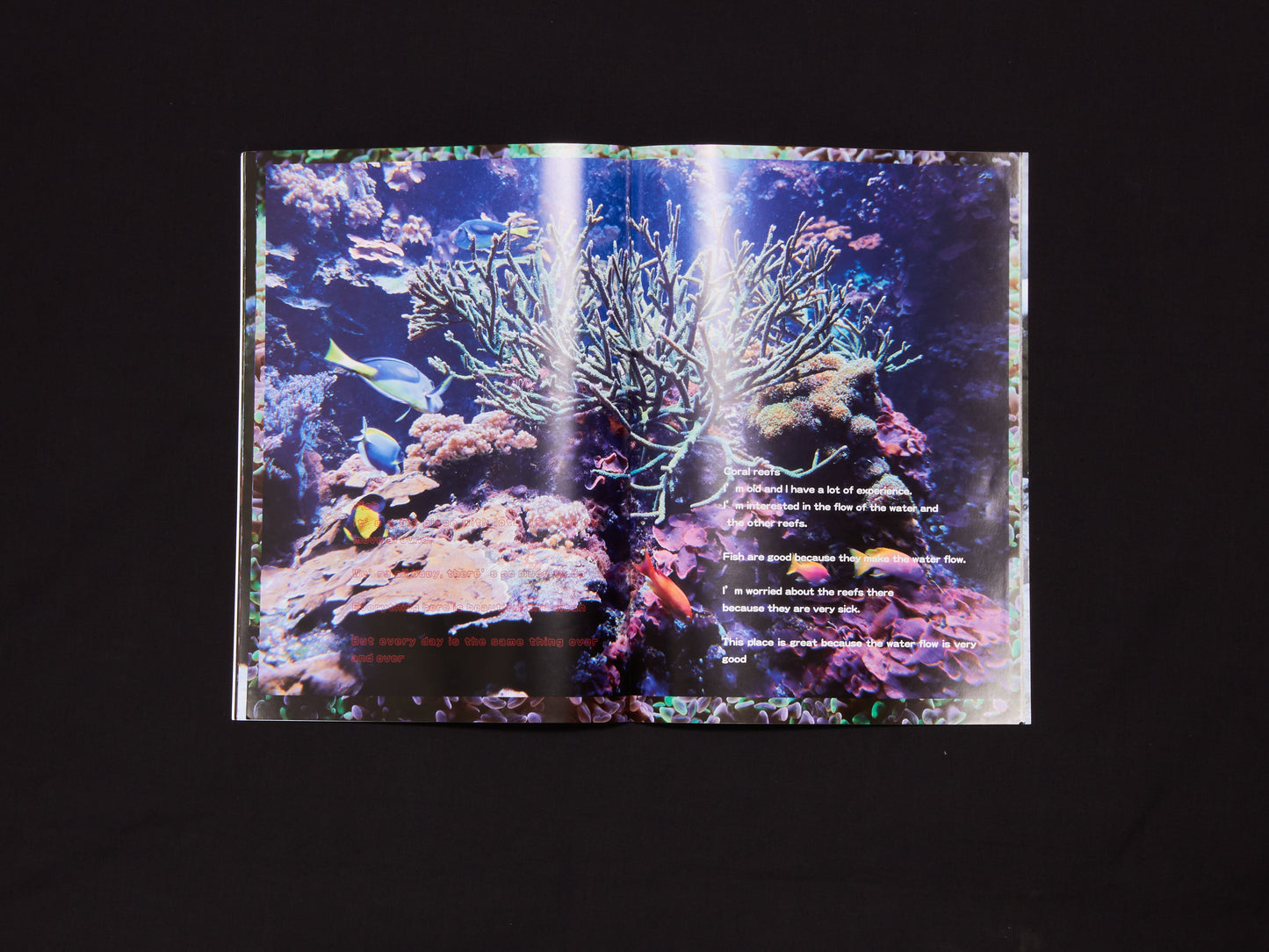 Maki Ishii, 3.33333333.....x3 vol.2 Aquarium in Berlin