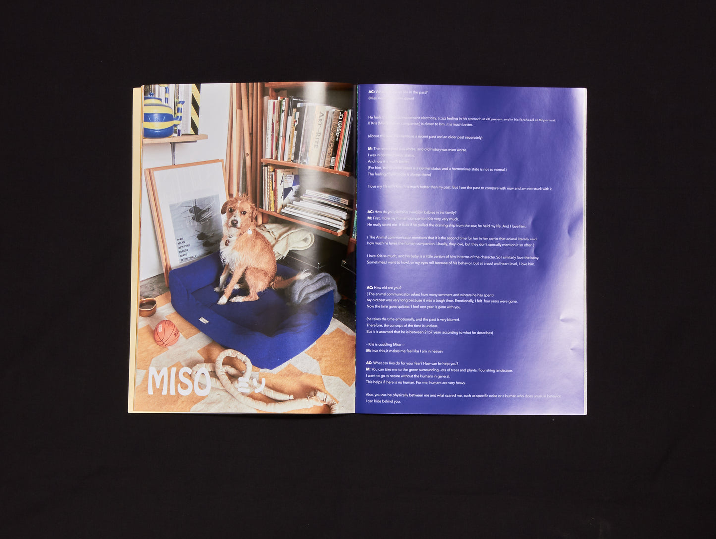 Maki Ishii, 3.33333333.....x3 vol.1 Dogs in Berlin