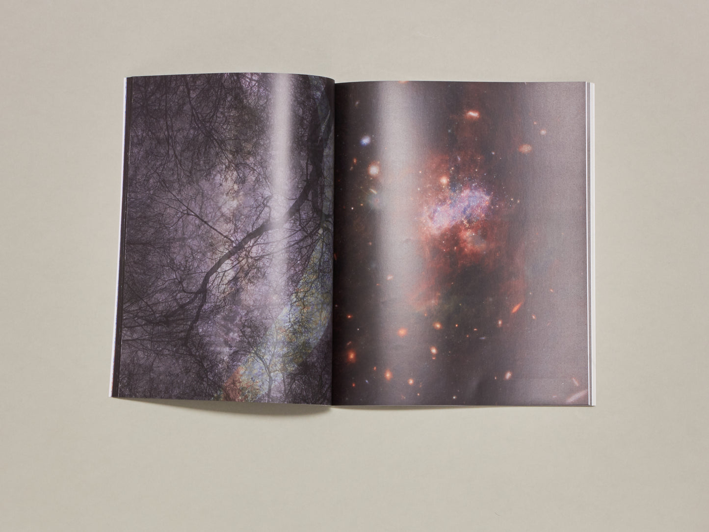 Pina issue #1