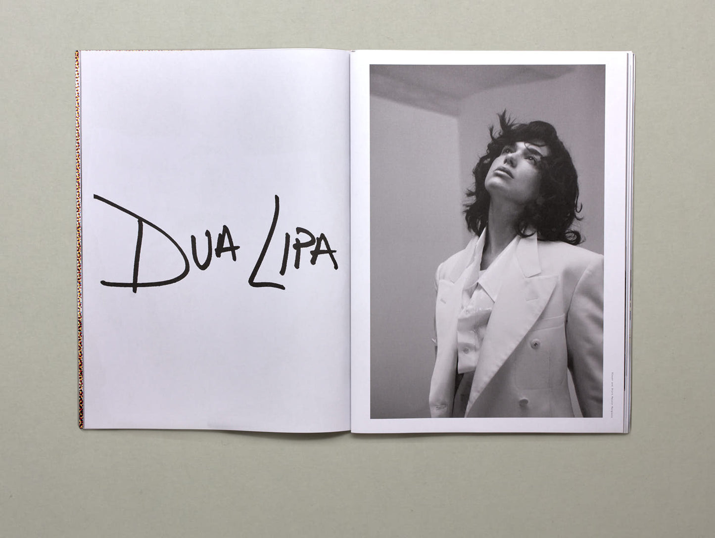 Beauty Papers, Dua Zine